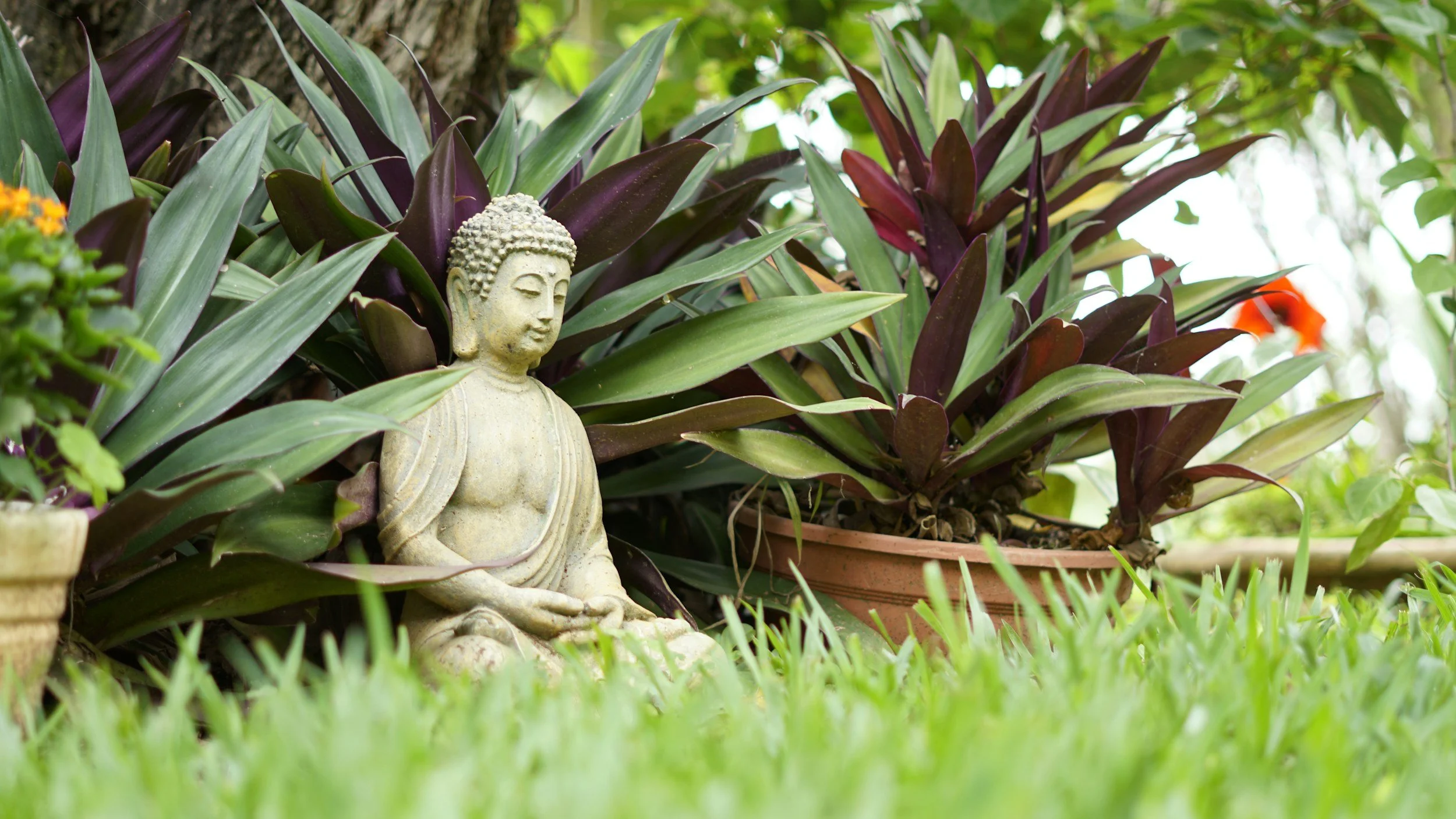 Focused Attention: A Practice for Mental Well-being