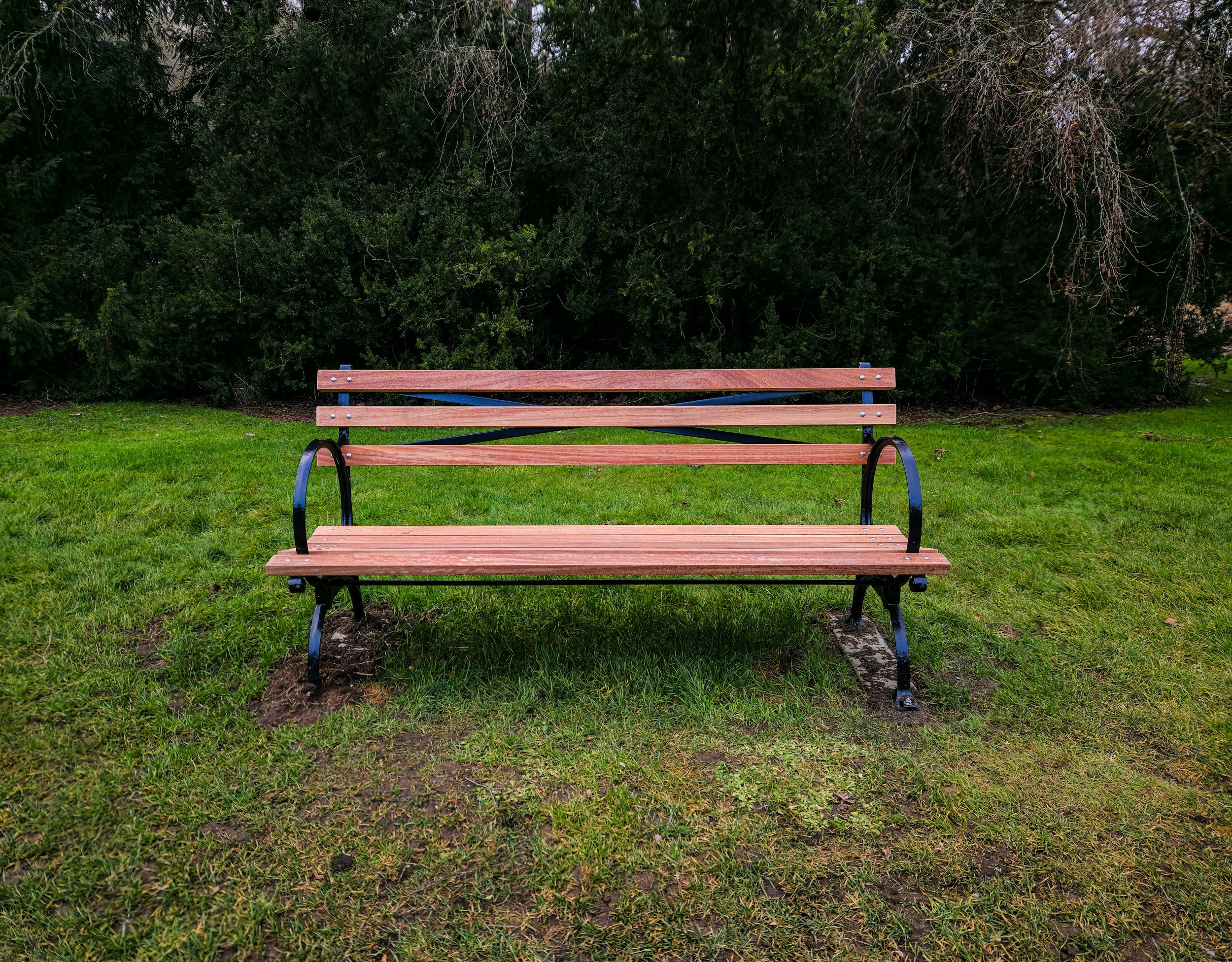 When Love Hasn’t Arrived Yet: Longing for Partnership