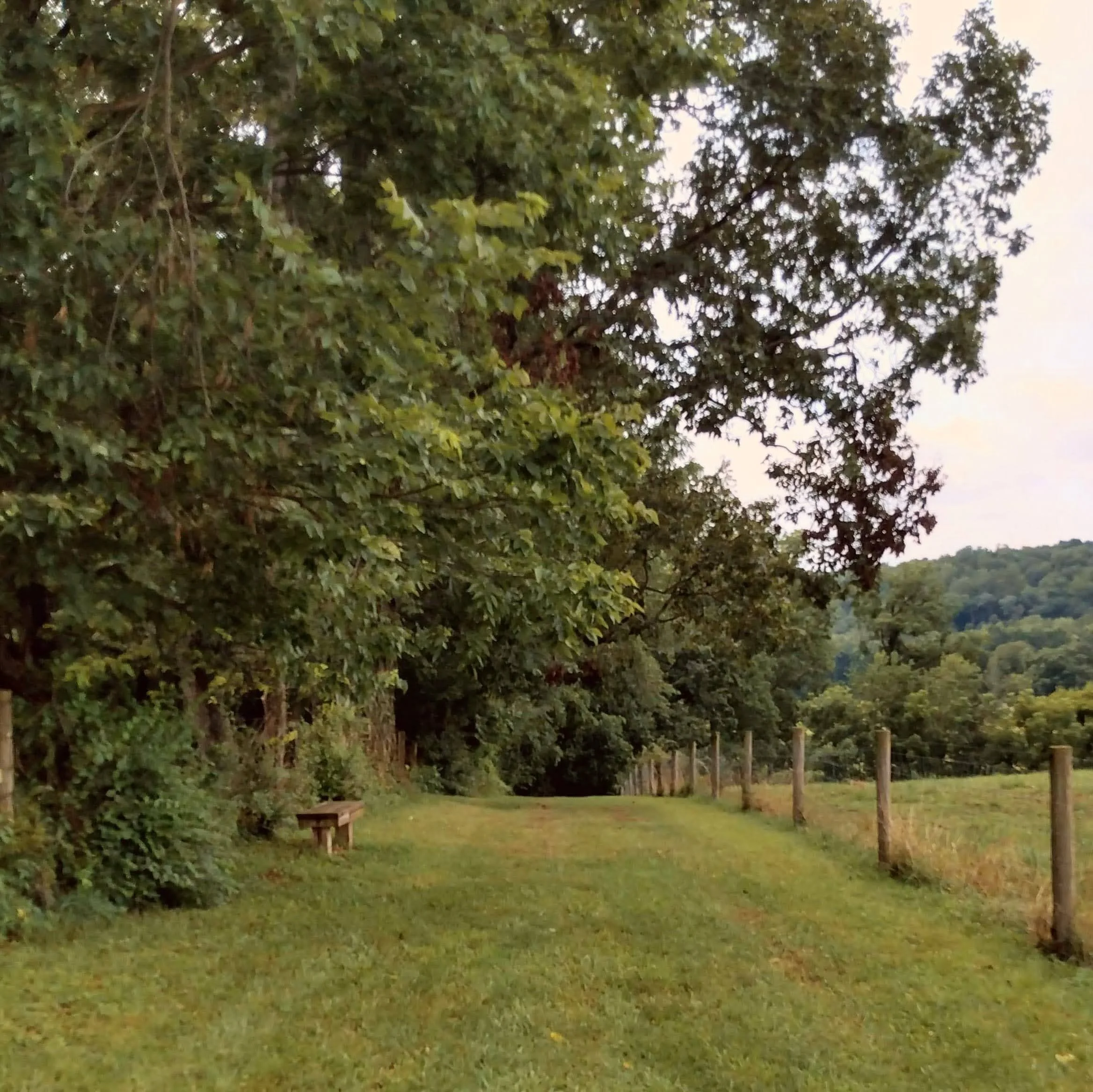 Befriending Unwanted Emotions by “Widening the Lens of Attention”