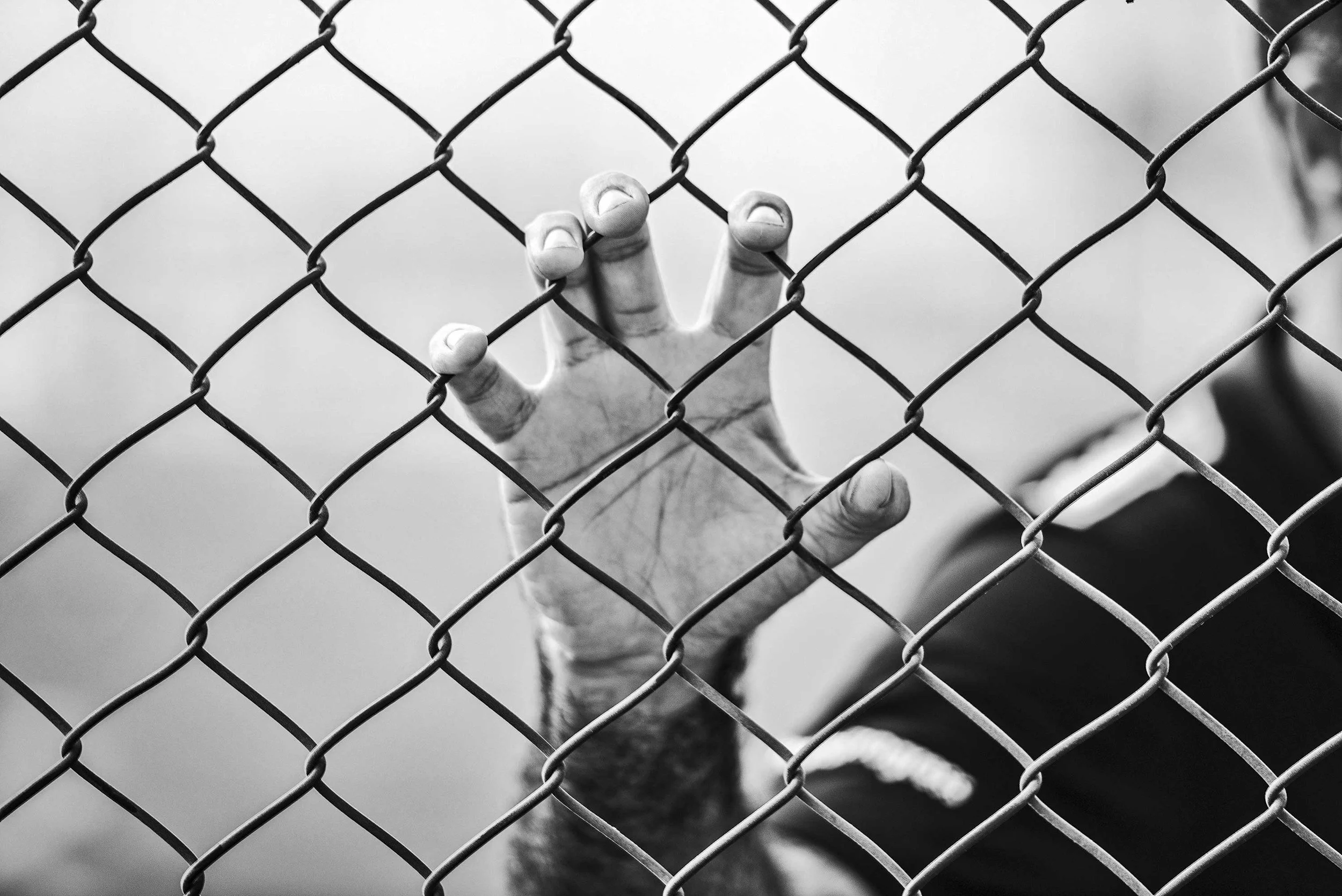 Rebuilding Connection: Transitioning From Prison to Home