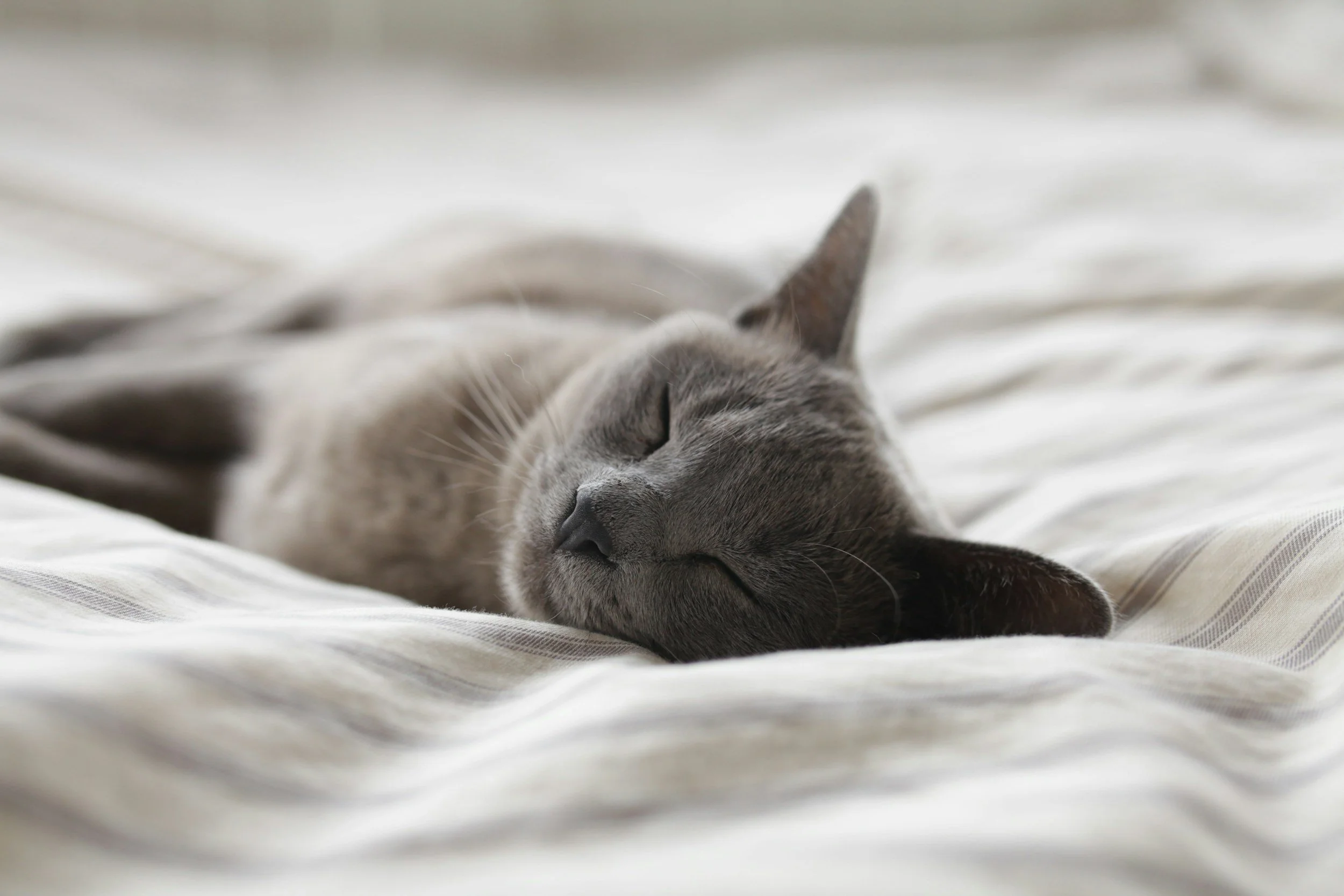 How to Create a Healthy Sleep Routine as the Seasons Change