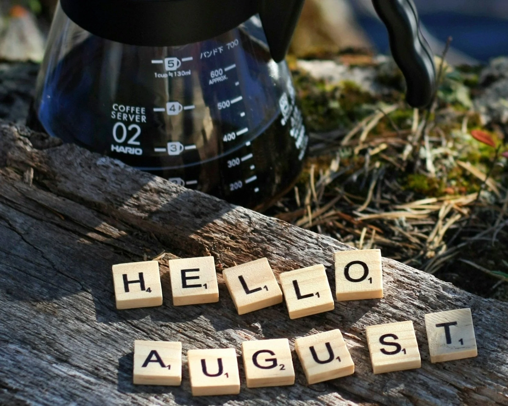 Why I Unplug from Social Media for the Month of August