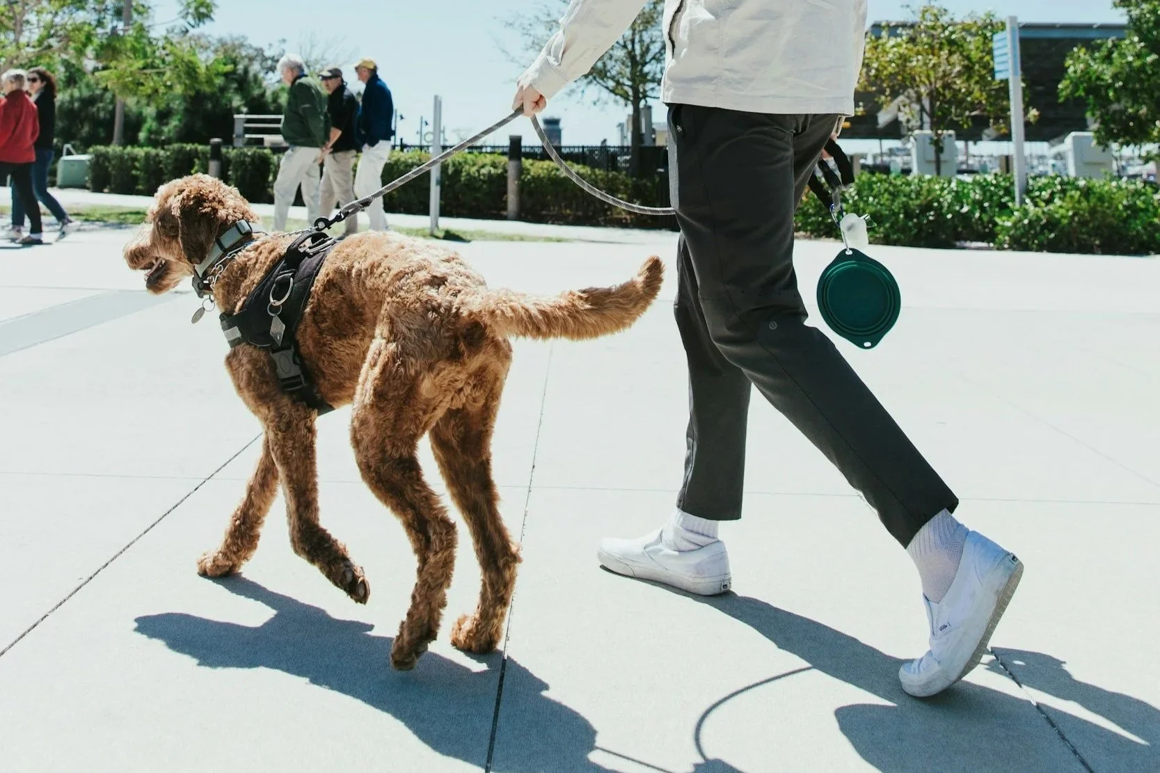 Exercise and Bilateral Stimulation: How Movement Can Support Mental Wellness