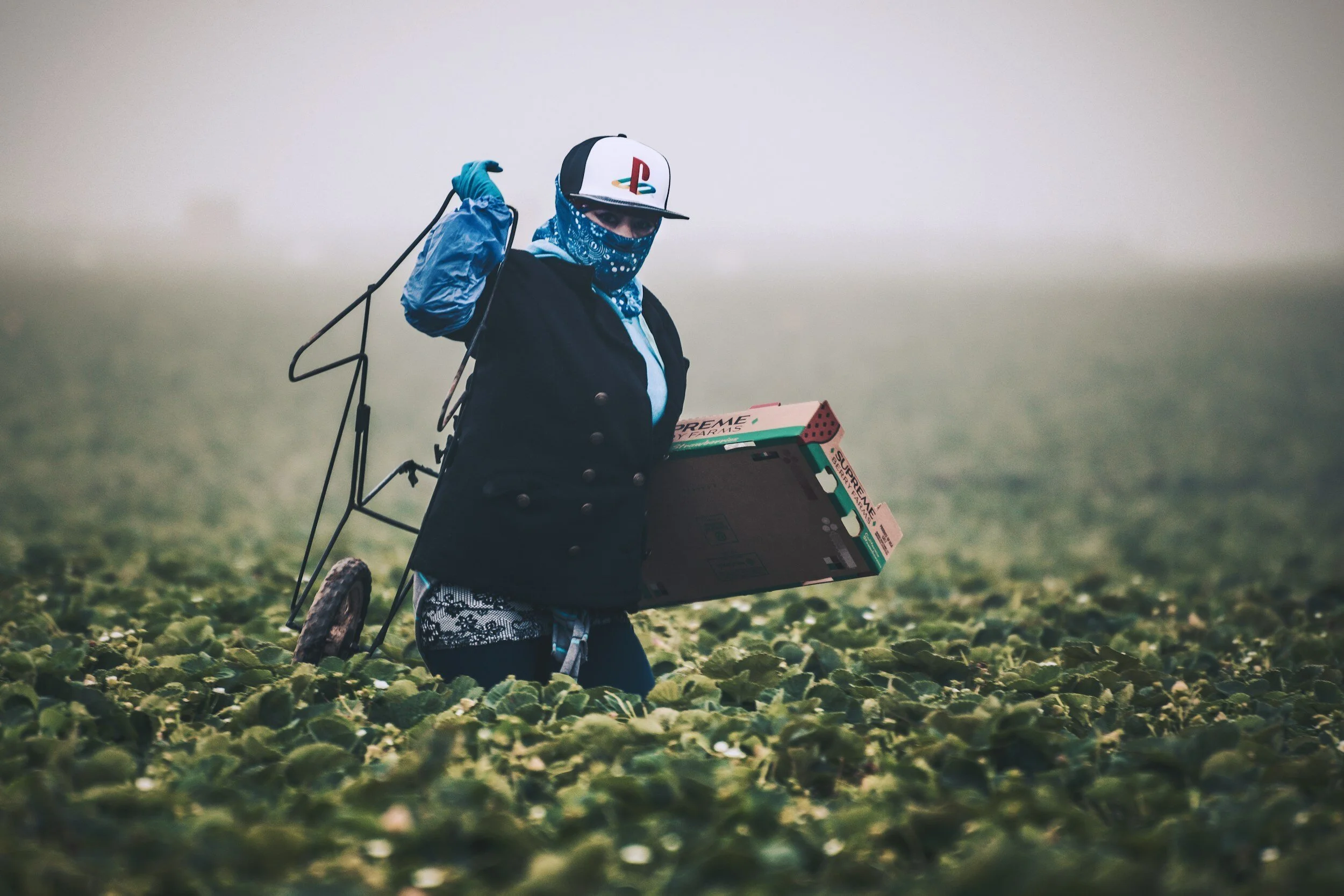 Farm and food workers’ labor and human rights are poorly protected and even more poorly enforced. Violations are on the rise. How can that change?