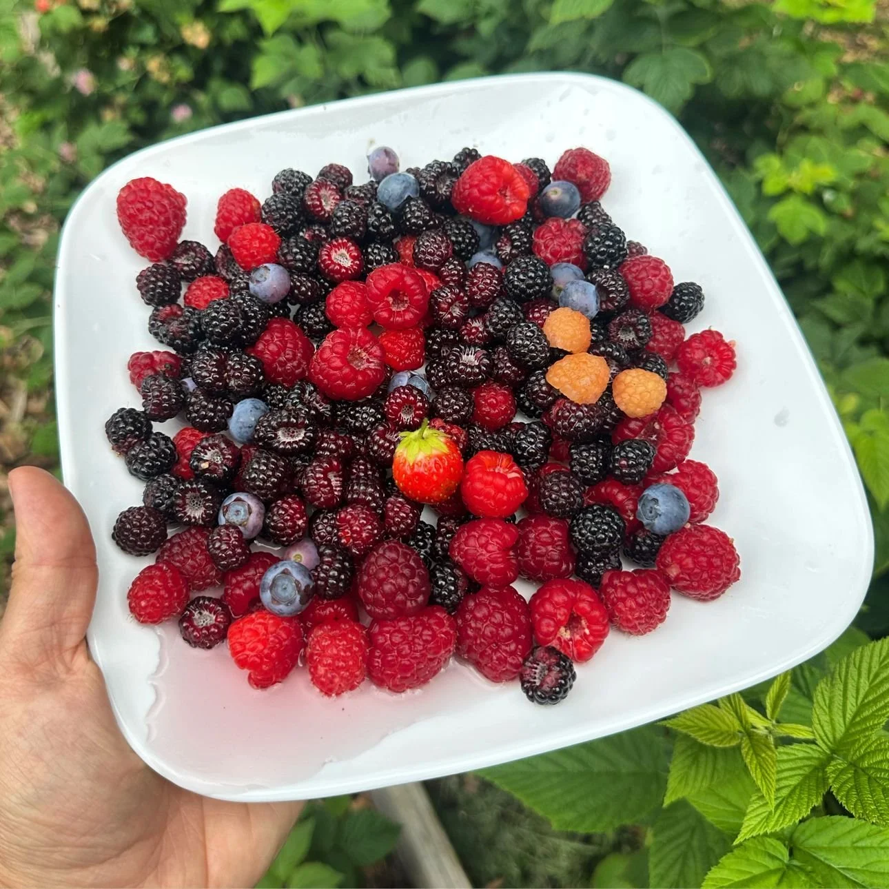 We Need Food Environment Innovation