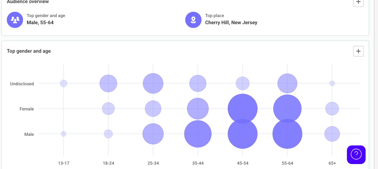 Instagram Data (Audience Age)