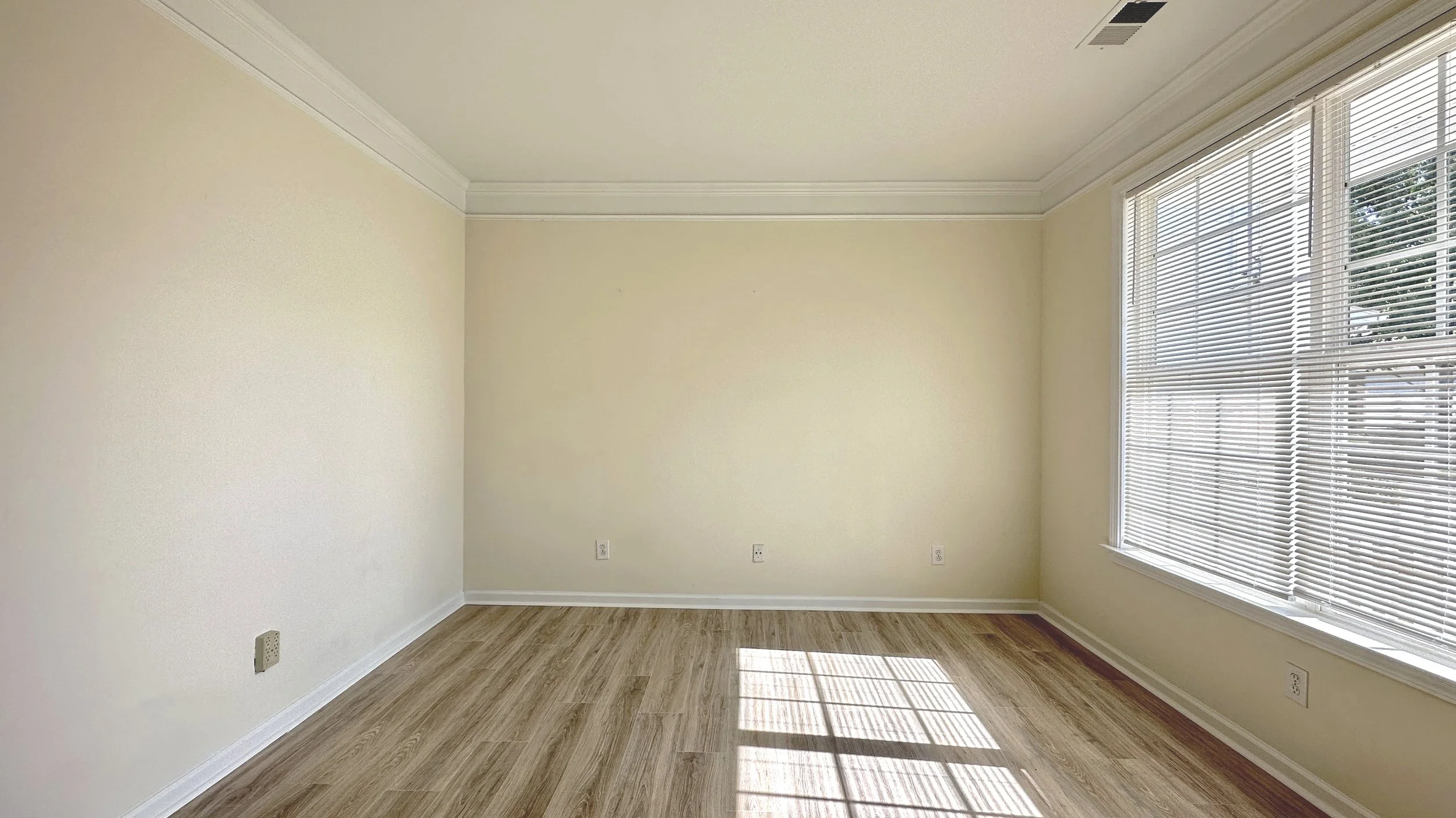 Library-office.jpg