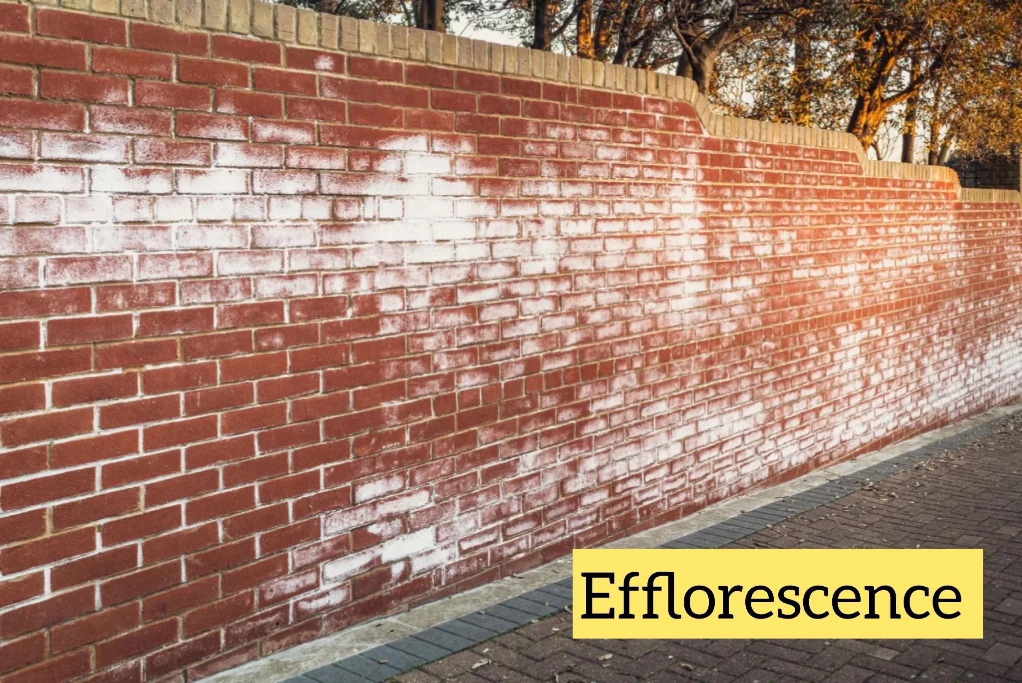 photo-output copy 3.jpg