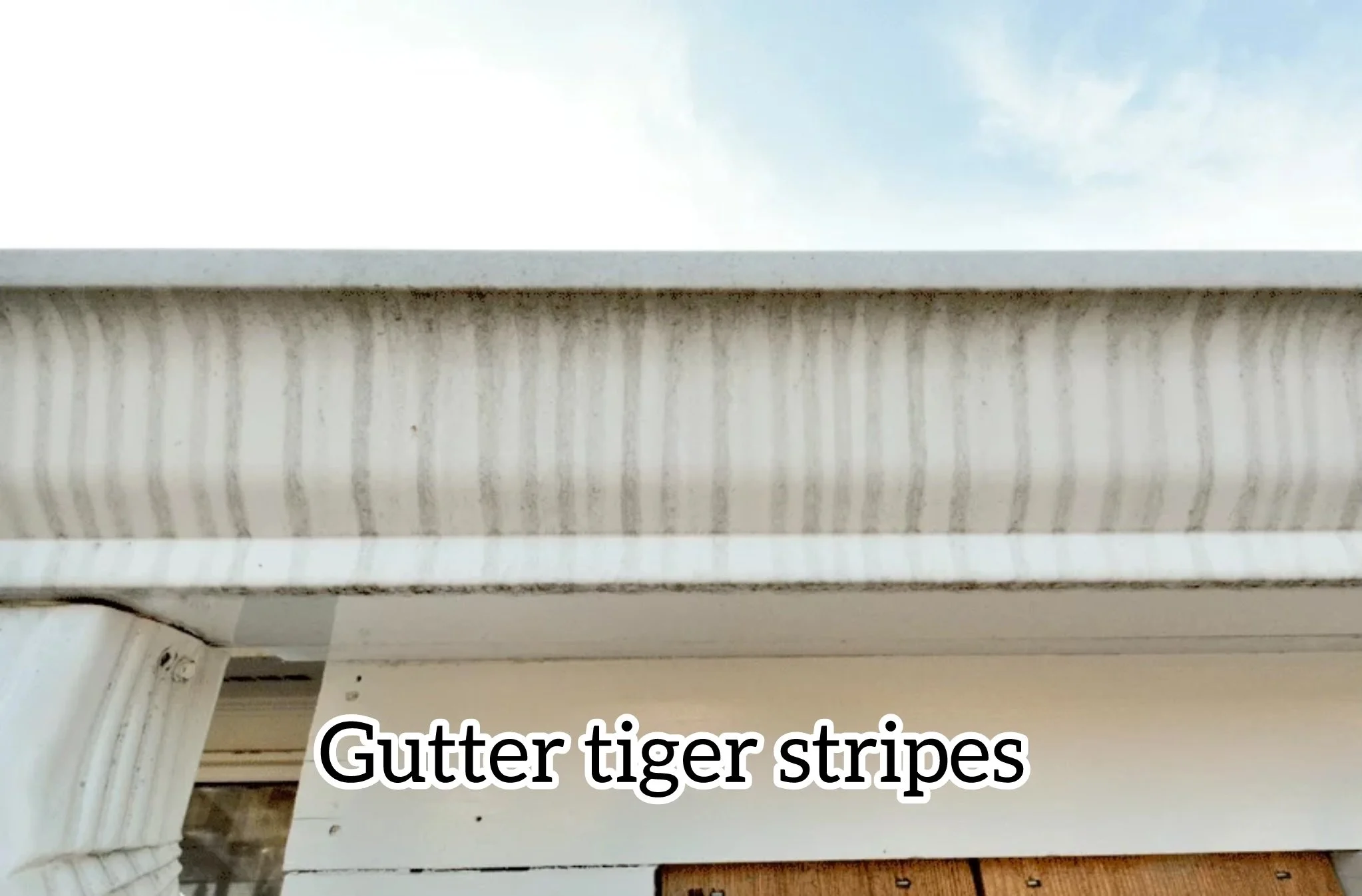 photo-output copy.jpg