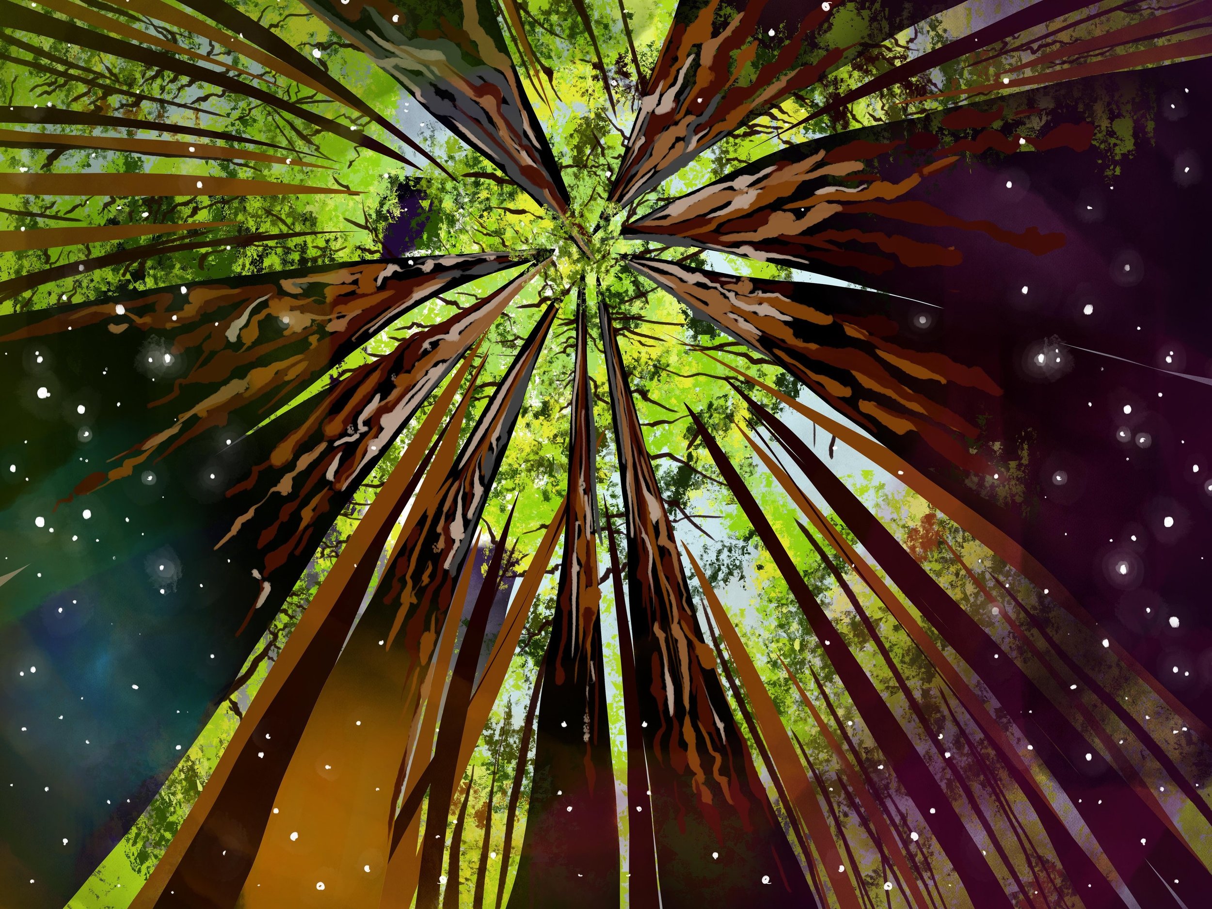 A cartoon illustration of a cluster of redwood trees, from the perspective of someone standing at their base staring up at expansive possibilities. Fireflies and stars gently glow.