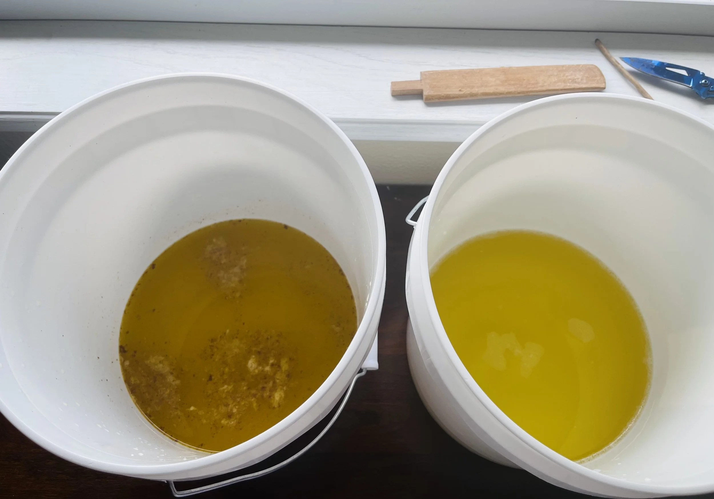 Two buckets containing different types of bile after the Kambo purge.