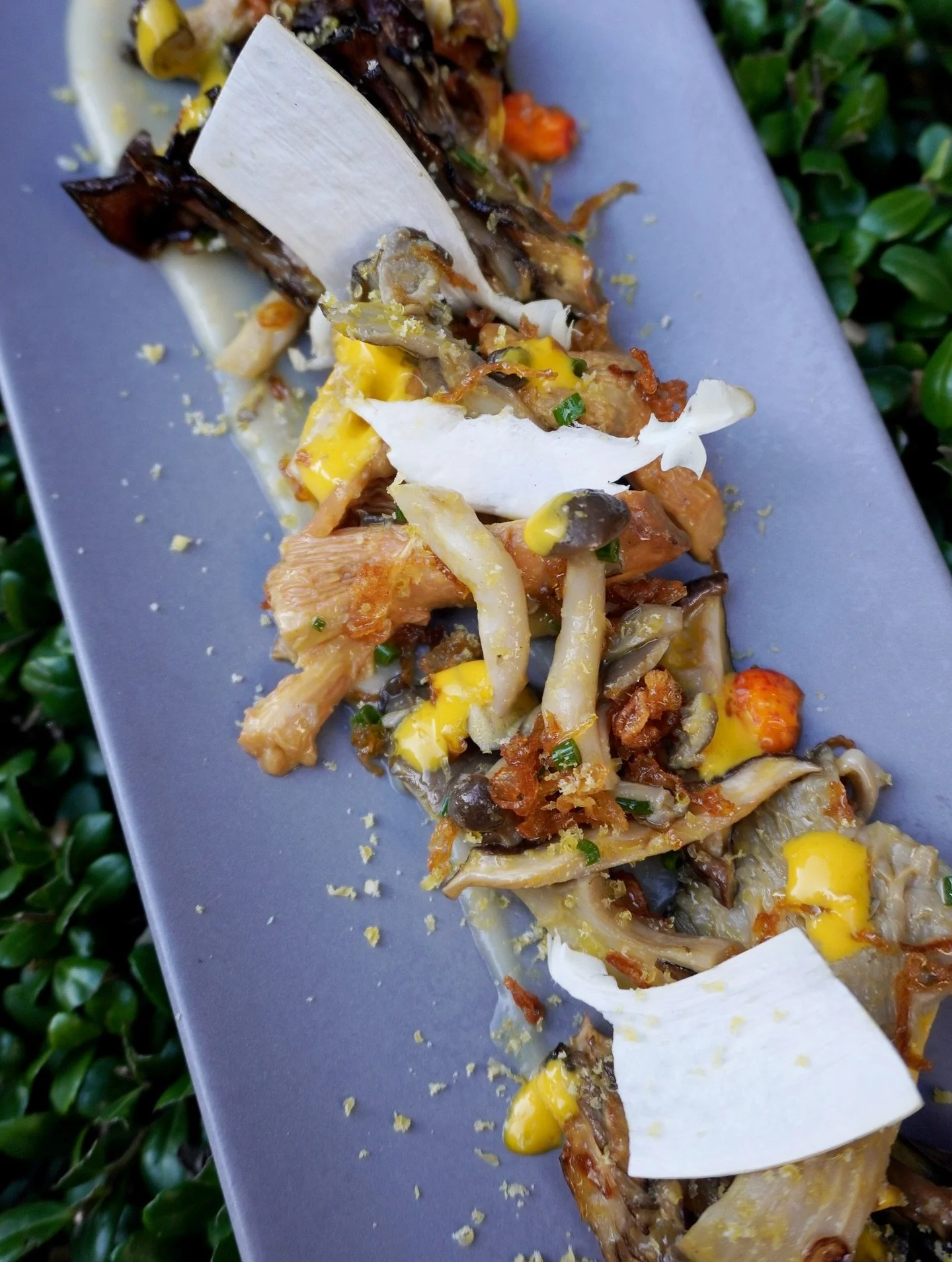 Our Fall Mushroom Salat is absolutely STUNNING! Shaved matsutakes, cured chanterelles, shiitake jerky, roasted maitakes, smoked and pickled shimejis in a sea buckthorn vinaigrette with roasted garlic emulsion and salted egg yolks. It just isn&rsquo;t