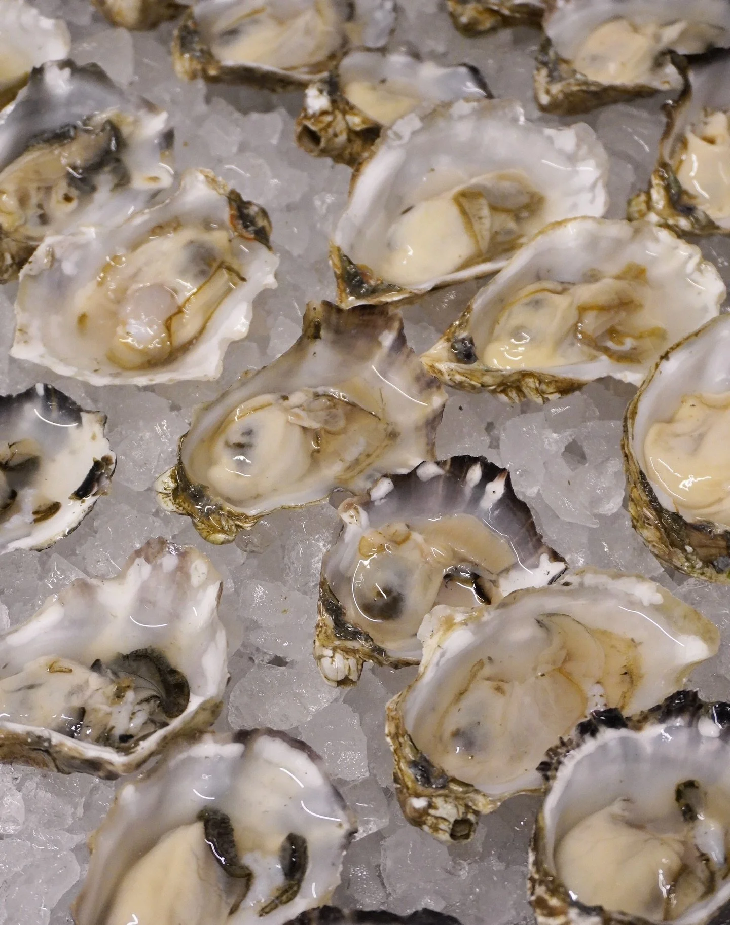 We&rsquo;re bringing Fabrika Friday to the grid tonightttt! We have some good stuff going on over there and we&rsquo;d love for you to join us. We start each day (Thursday-Monday) off right with our Oyster Happy Hour, 4-6pm! 🦪🌝

1: Current HH oyste