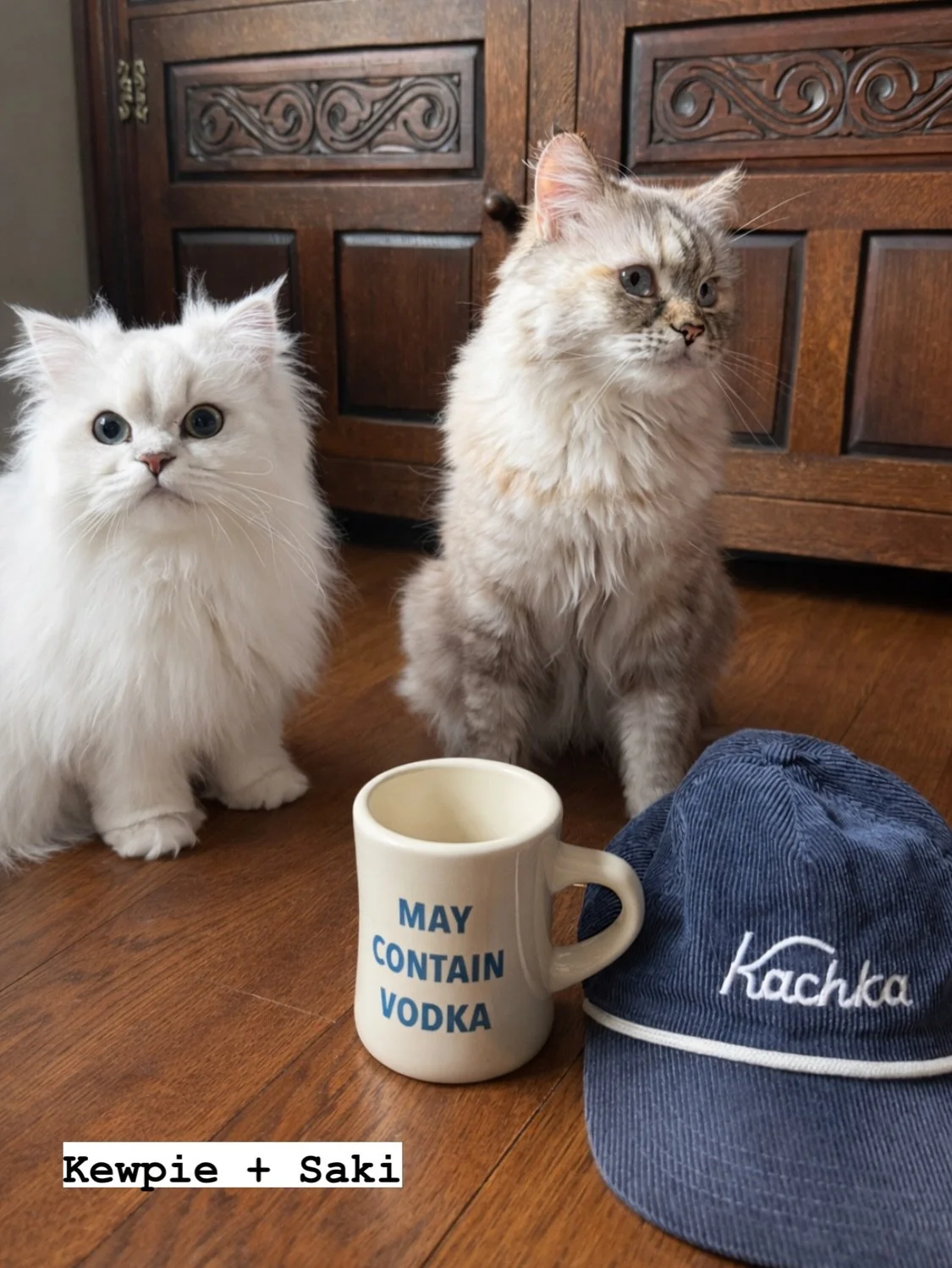 Pet lovers, listen up!! Kachka AND @kachkafabrika are participating in @oregonhumane city-wide fundraiser - 🦴Bone Appetit Week🦴- from April 27th through May 3rd. We&rsquo;ll be serving a special cocktail each of our locations starting tomorrow, and