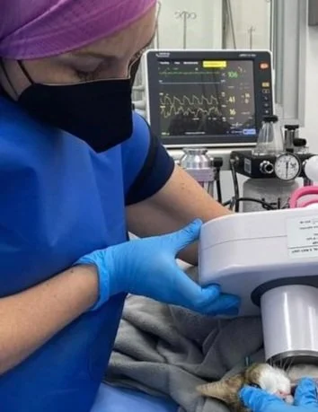 RADIOLOGÍA INTRAORAL