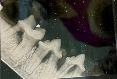 RADIOLOGÍA ORAL