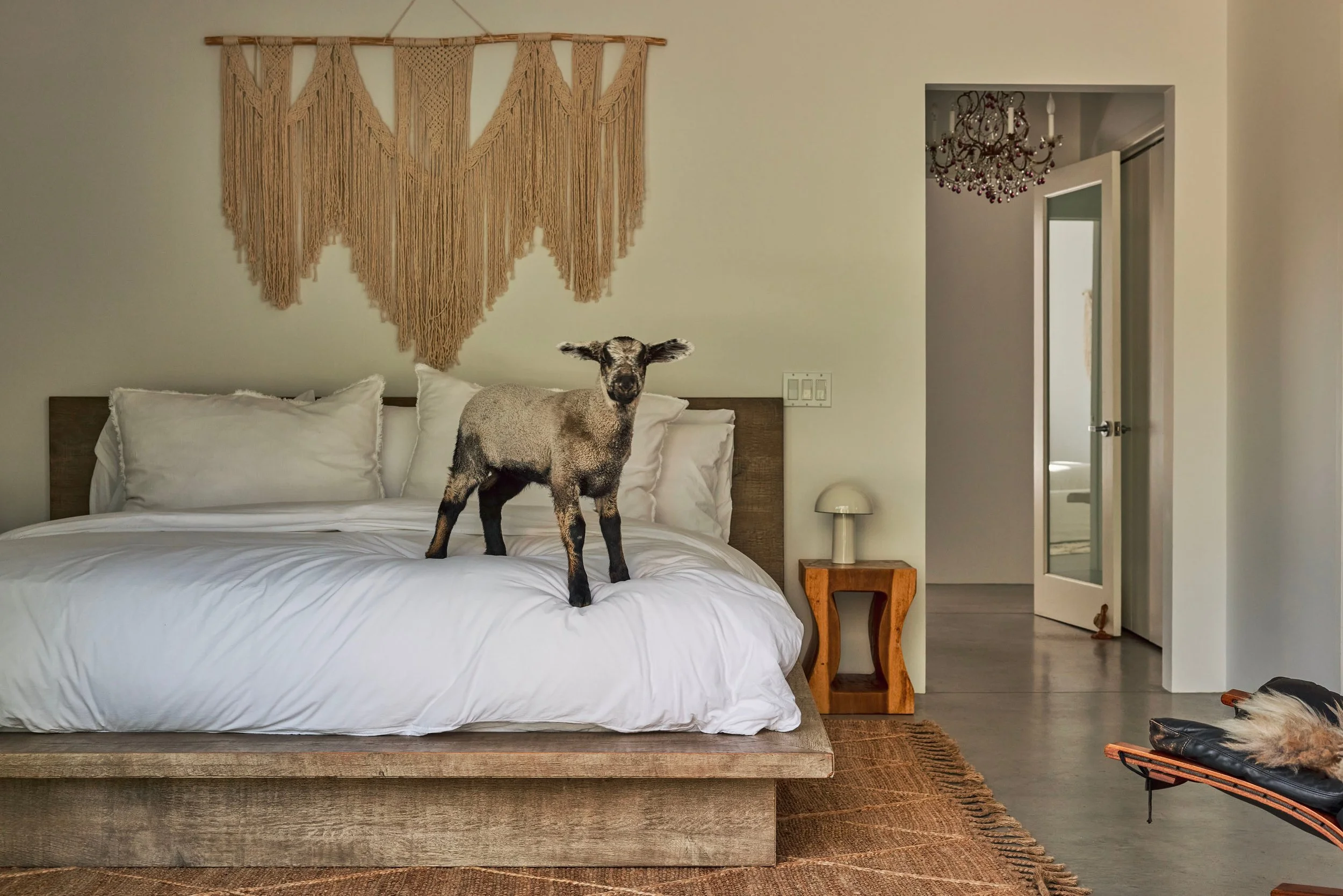 20260204_6715_FERNHILL_STEVEN_LIPPMAN 147.JPEG