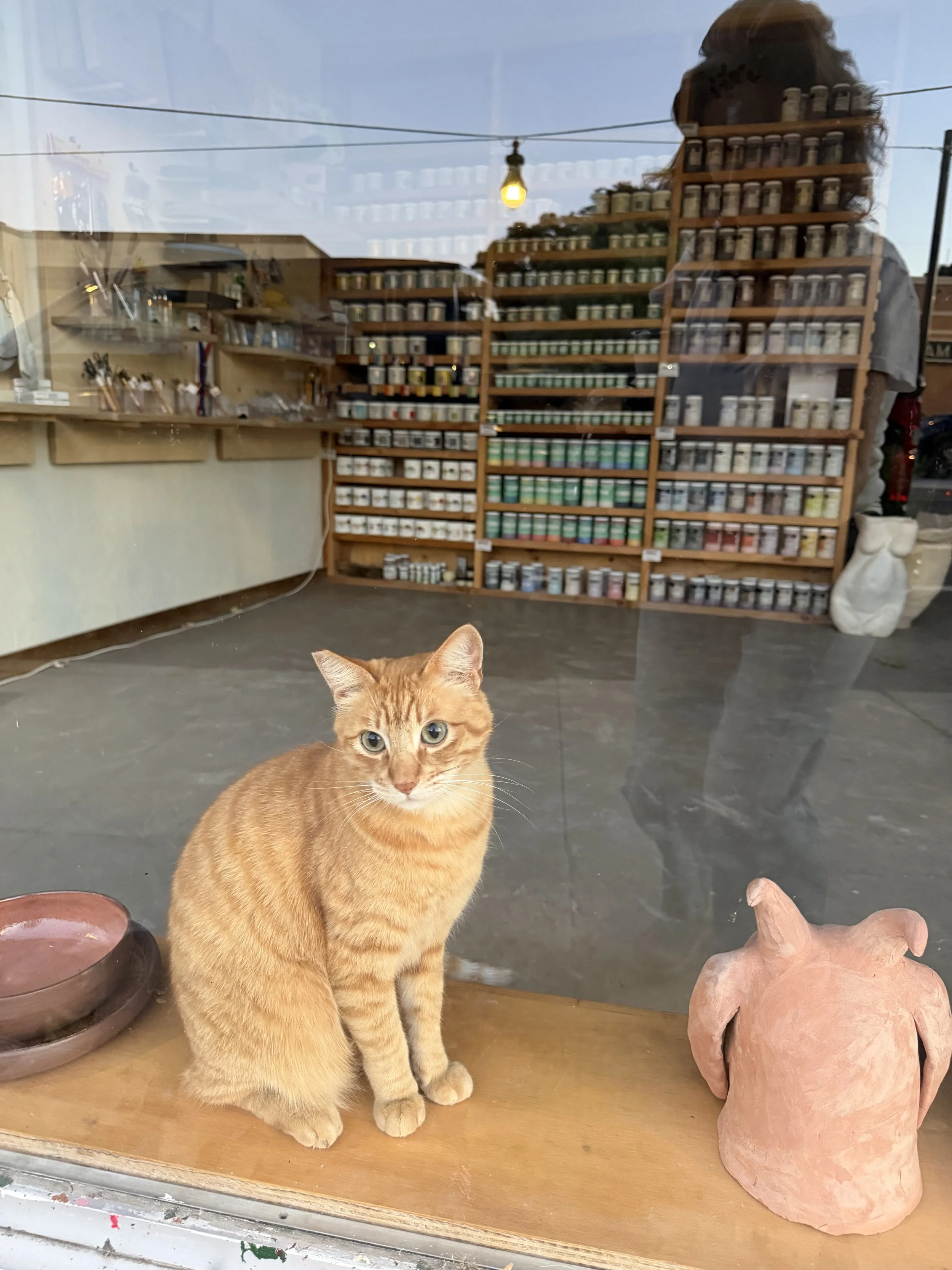 IMG_0203.jpeg