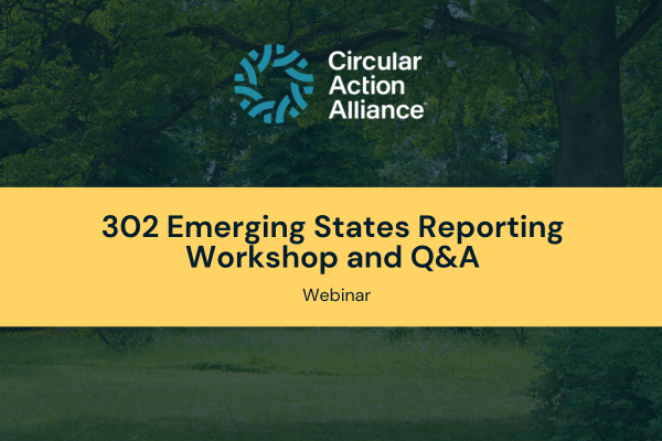 302 Emerging States Reporting Workshop and Q&A Session