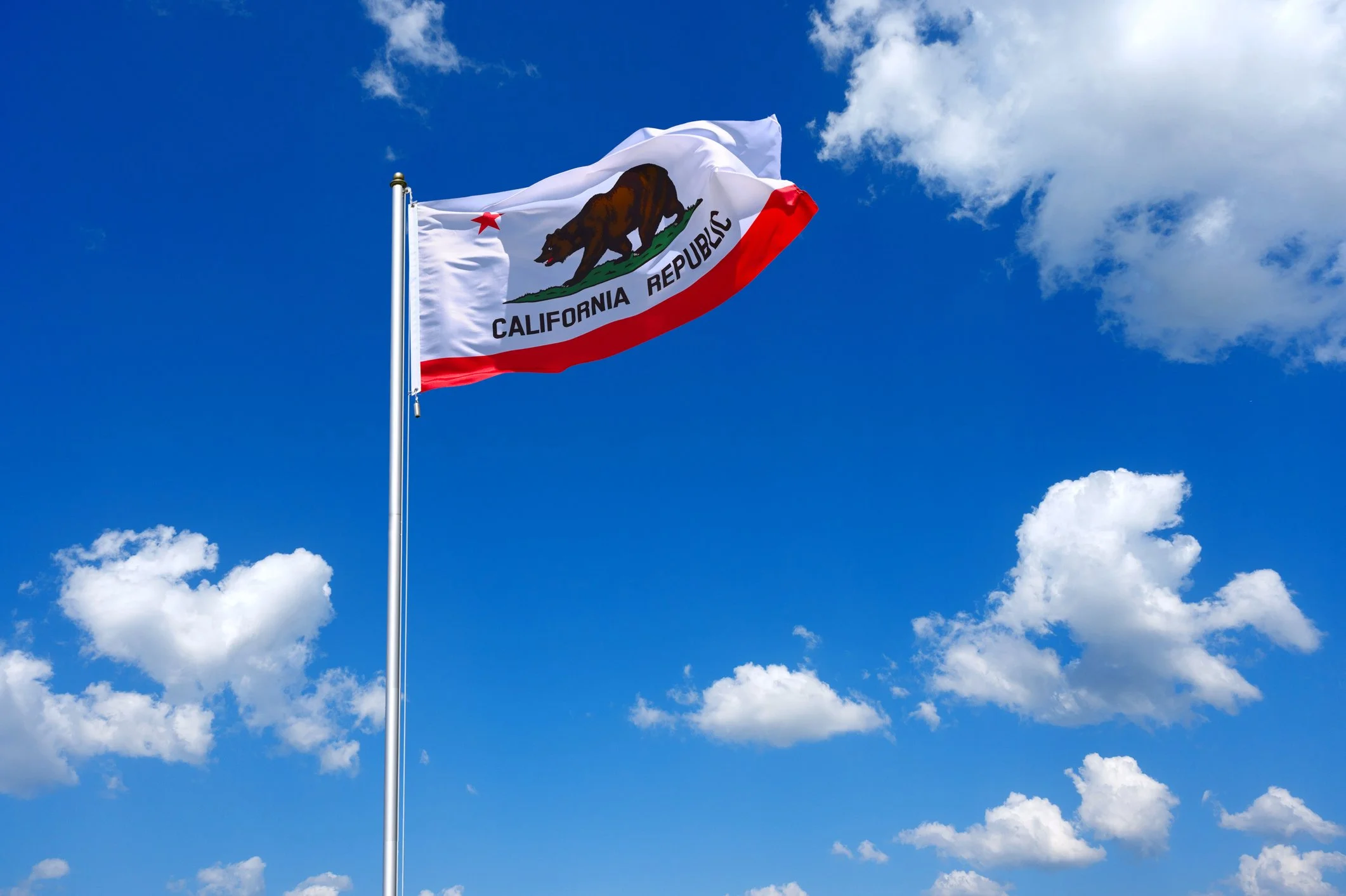 Circular Action Alliance California Submits Program Plan Under State Bill 54&nbsp;