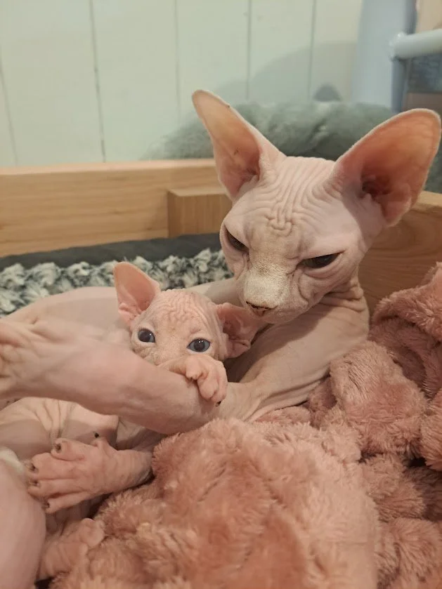 Venus and baby Phoebe