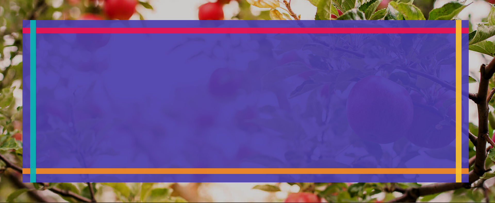 About Us — Appletree Lane Wealth Management