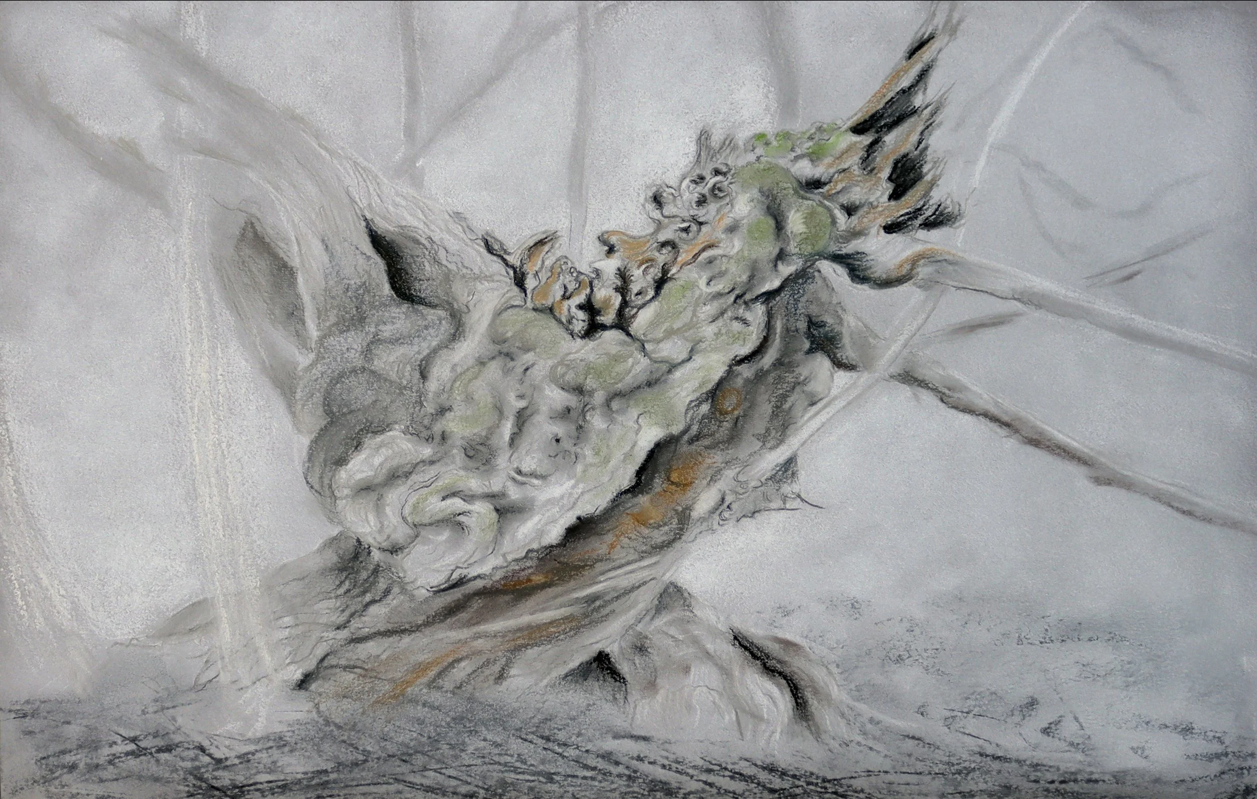 Aïeul « Dragon » 1   
Pastel sur papier / 53cm x 43cm