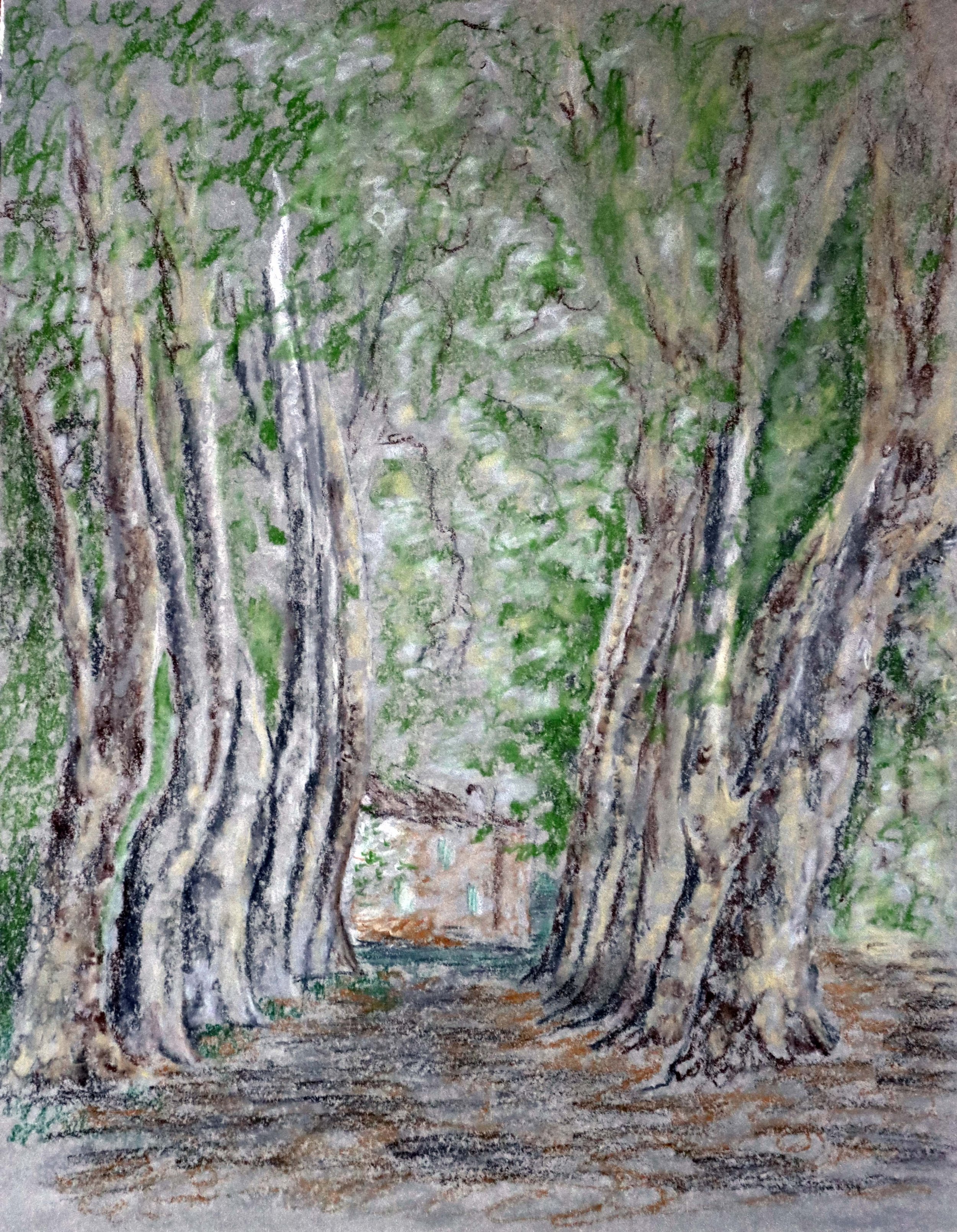 Allee Saint Bonnet 33cm x 43cm