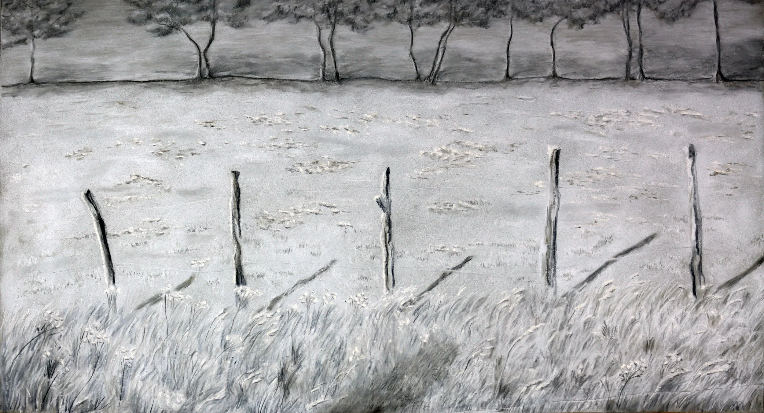 Study for Pâture 75cm x 42cm