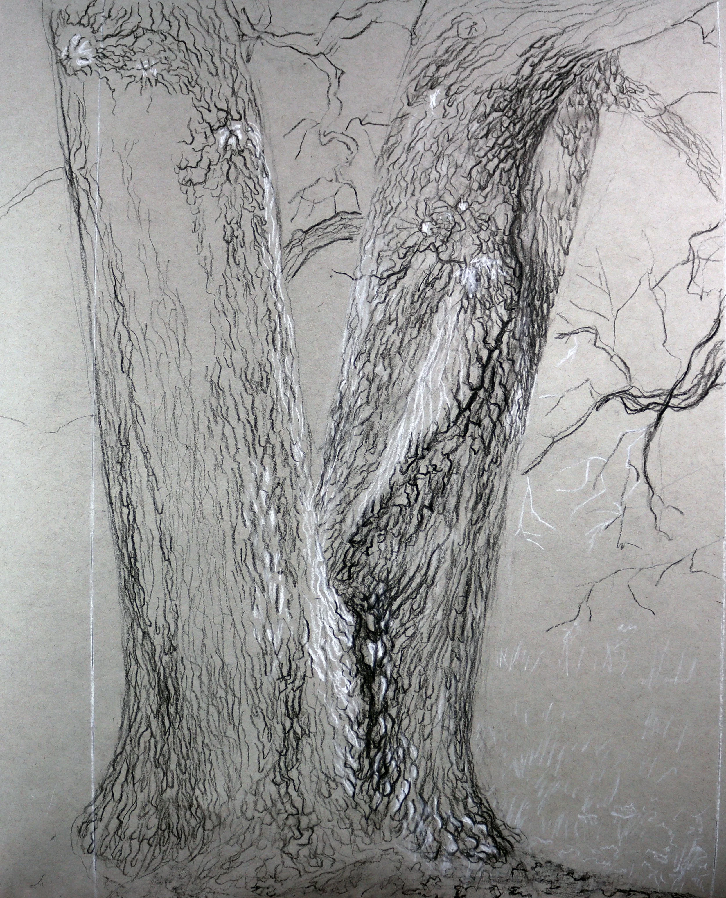 Study for Earth and Sky 55cm x 60cm