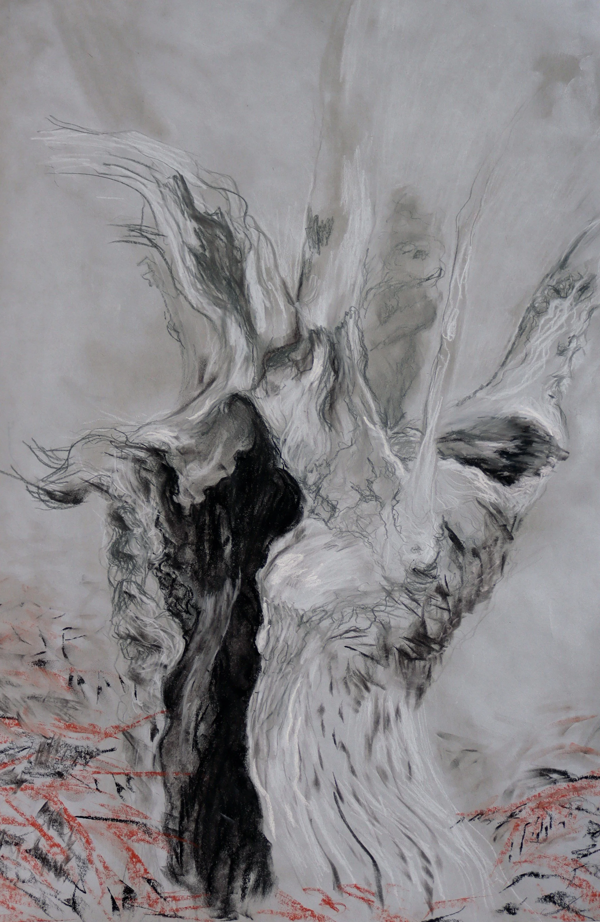 Aïeul 3 « l’Antre » étude 1   
Pastel sur papier / 62cm x 91cm