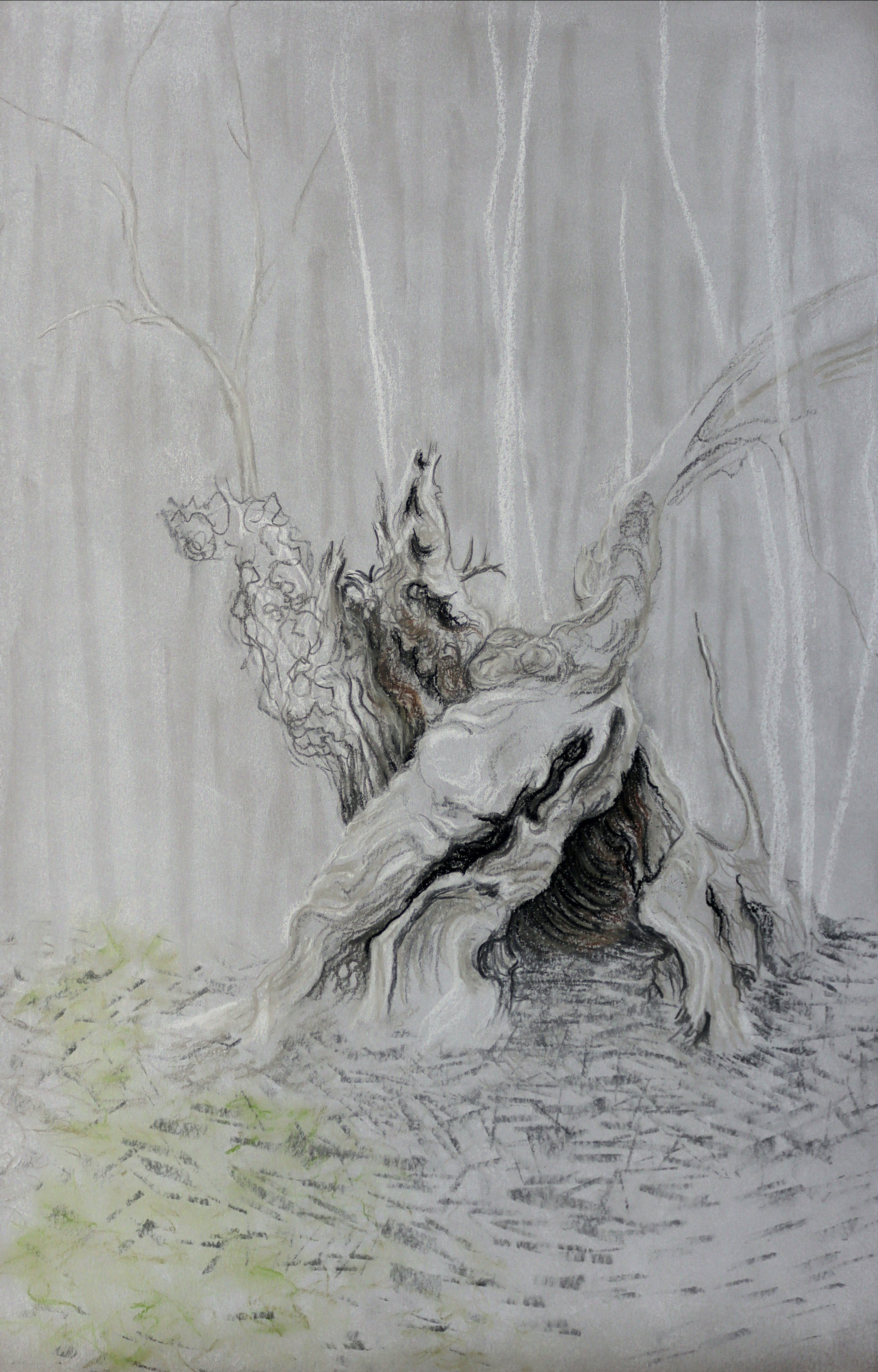Aïeul « Pas de deux »  étude 1 
Pastel sur papier / 43cm x 53cm