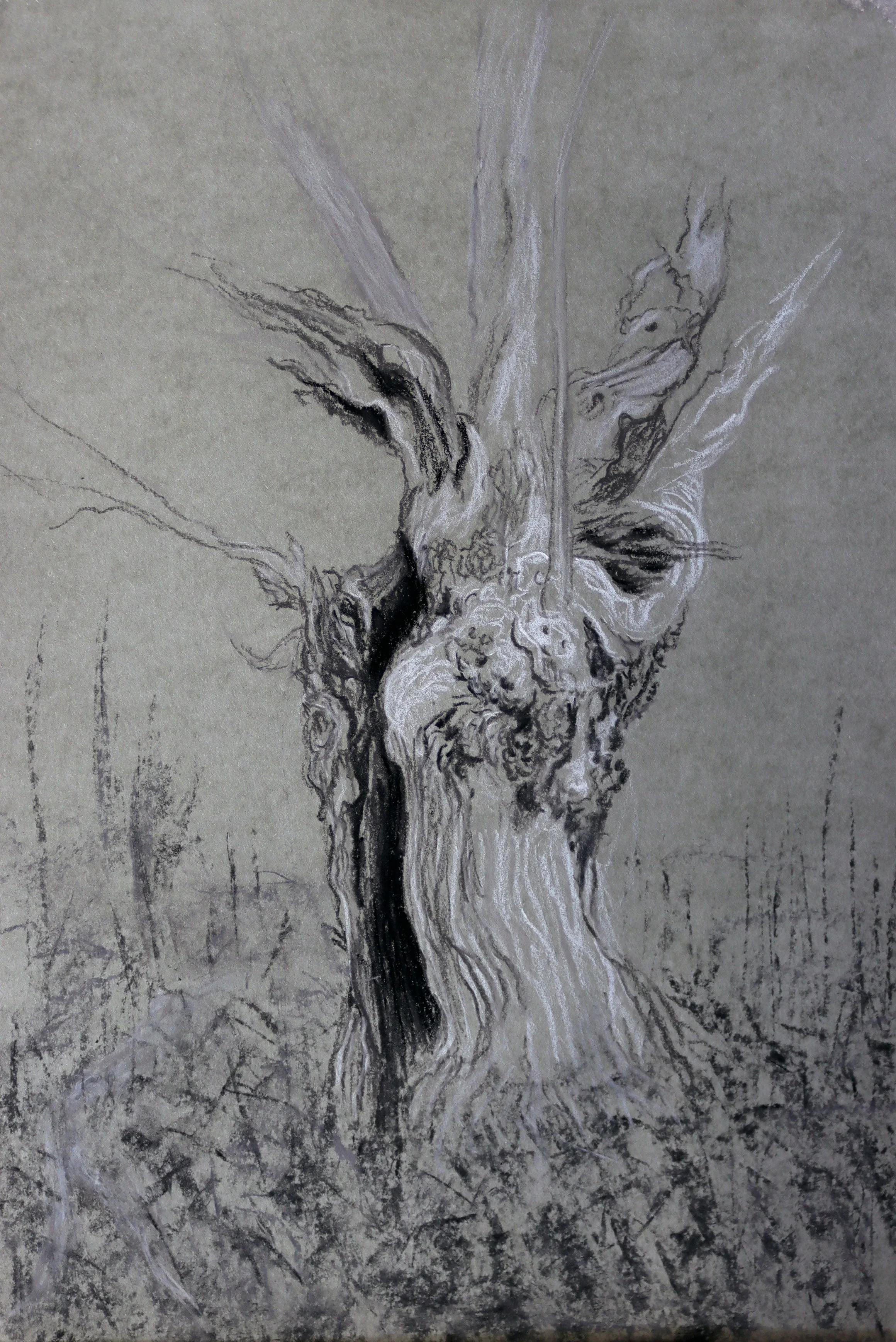 Aïeul 3 « l’Antre » étude 2 
Pastel sur papier / 33cm x 43cm