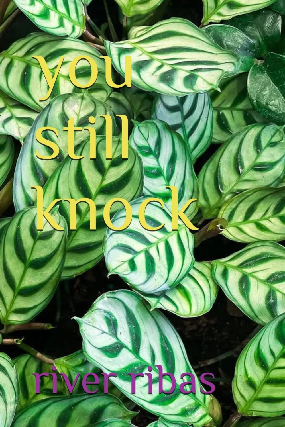 you still knock cover.jpg