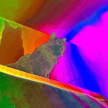 queer vision