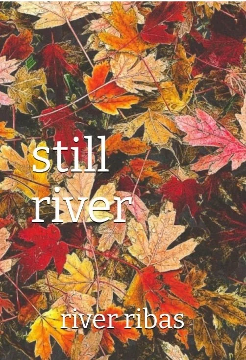 front book cover still river.jpg