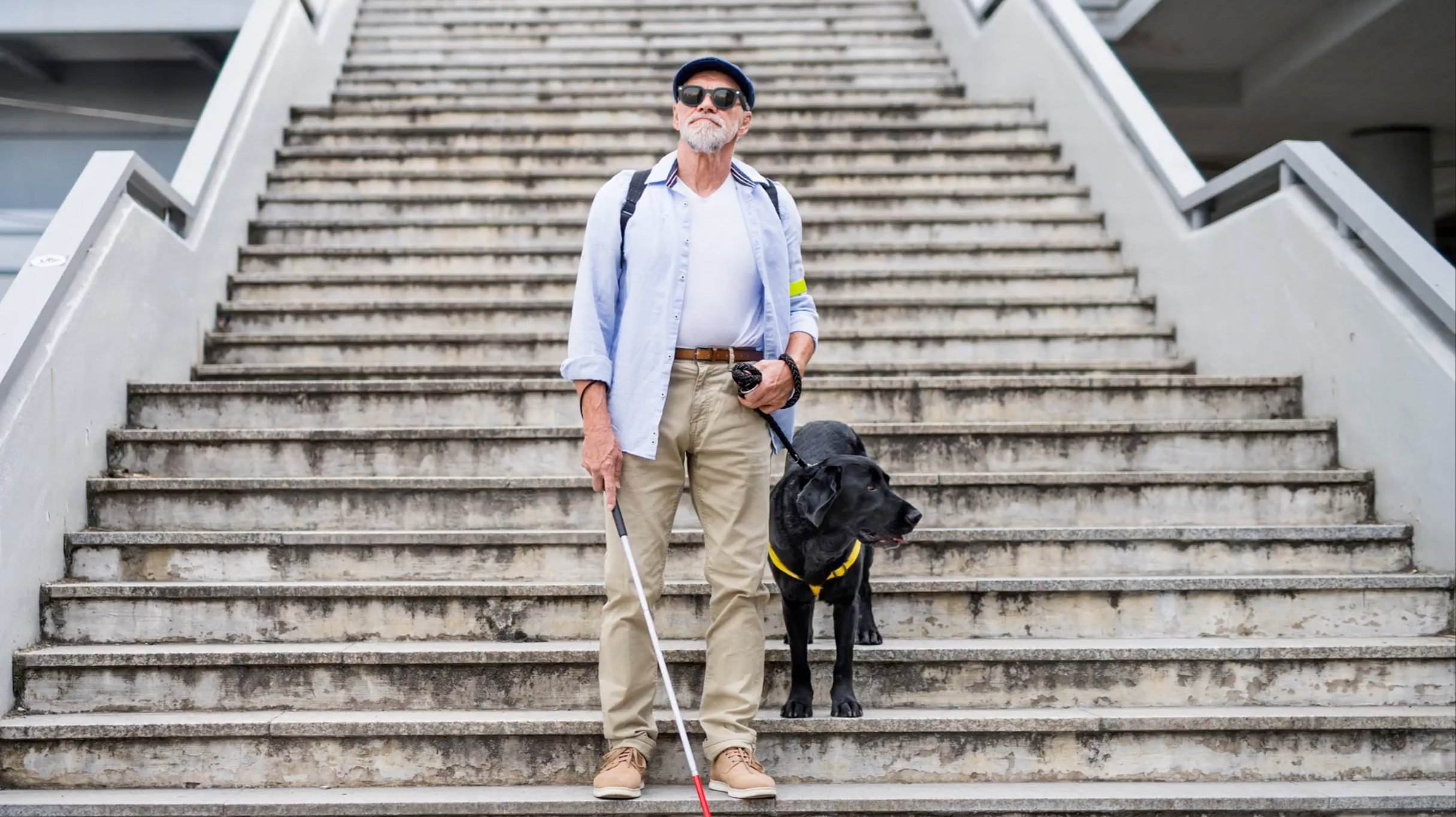 International Guide Dog Day.