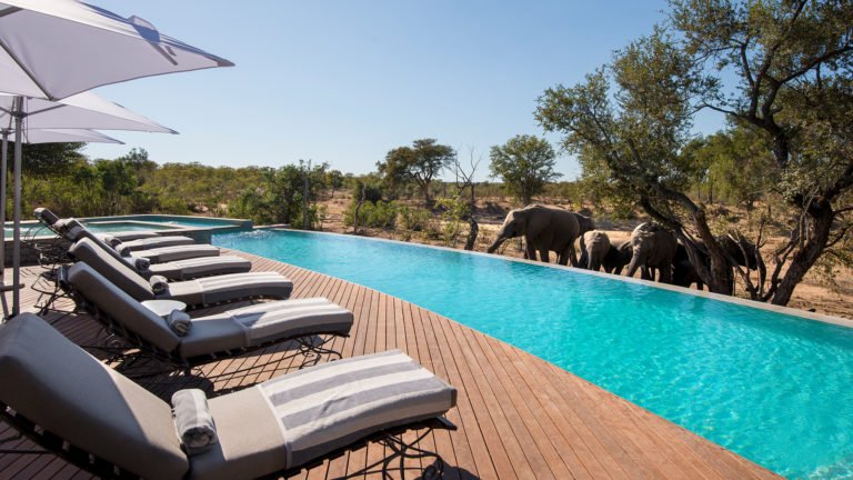 swimming-pool-with-elephants-at-luxury-andbeyond-ngala-safari-lodge-close-to-kruger-national-park-in-south-africa-768x432.jpg