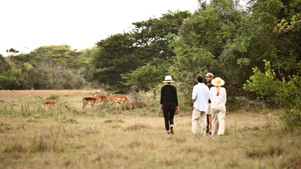 walking-safari-phinda-private-game-reserve.jpg