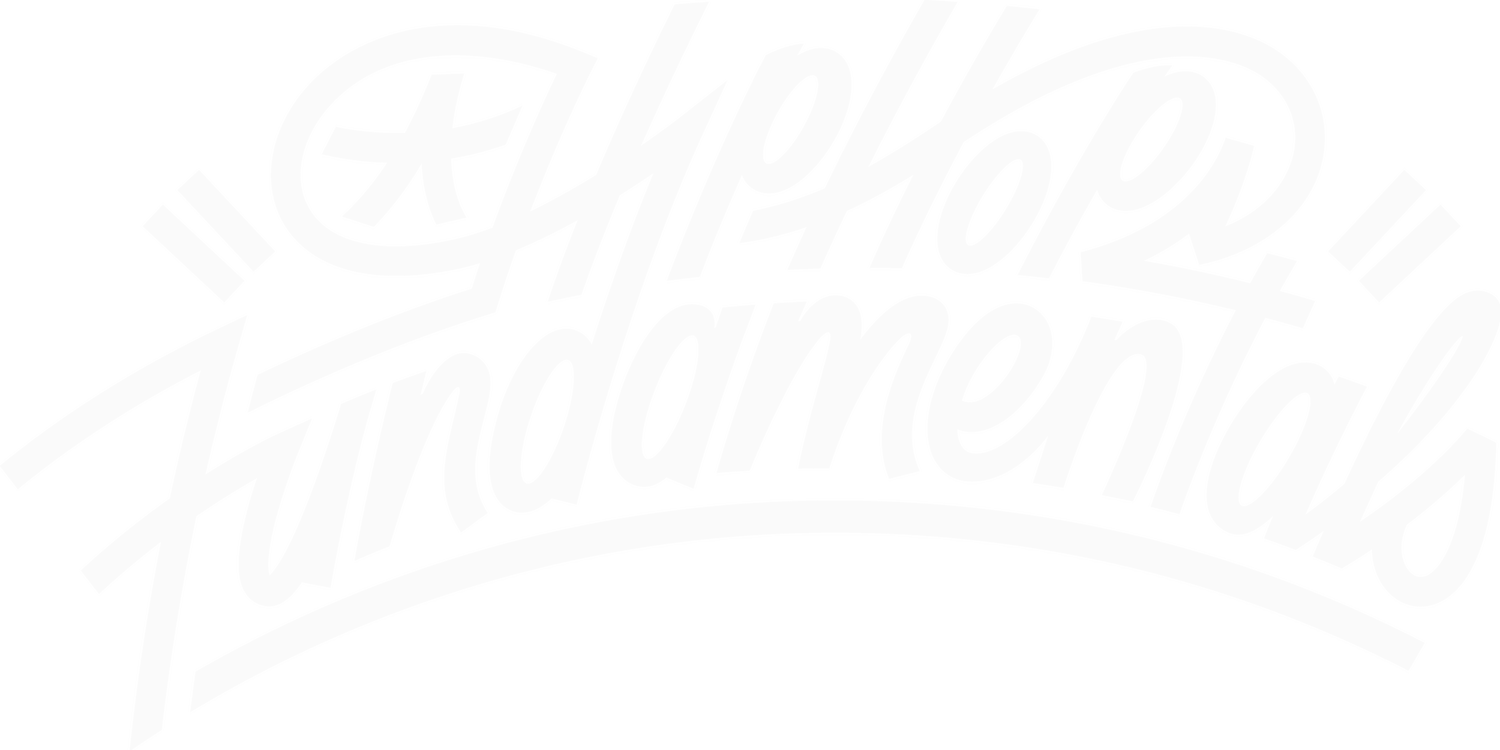 Hip Hop Fundamentals