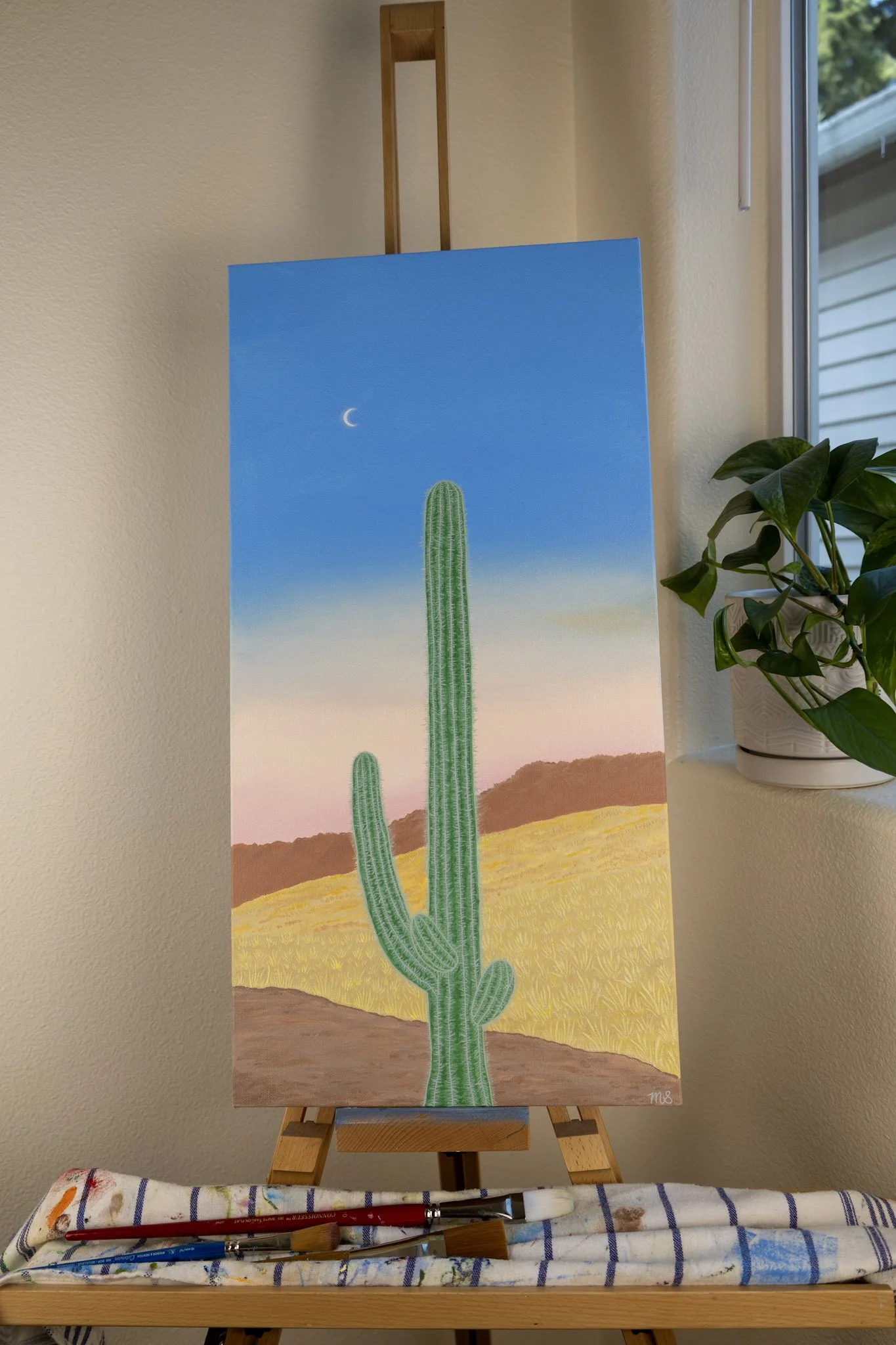 Cabo Cactus