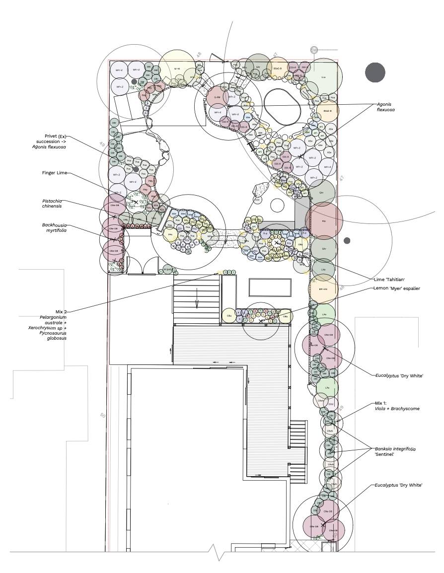 Planting plan Woodlands.png