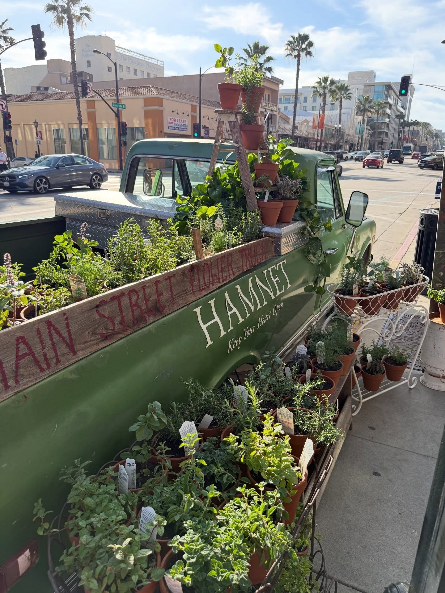 I had so many cutie pictures of this POTTED HERB SETUP (AHHHH 😍😍😍) that it took me awhile to choose my favs!!! LOOK AT THEM!!! 🥹🪴

Last month, I popped up with @focusfeatures again to give out potted herbs to people coming out of the @hamnetmovi