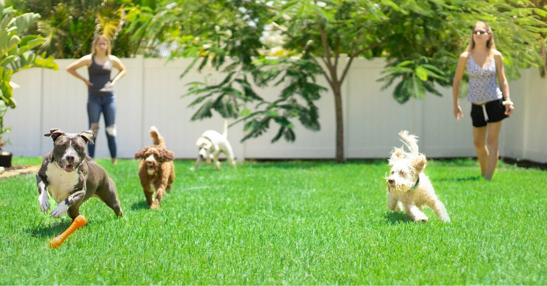 UPCOMING EVENT: Doggy Play Date At Chatfield Dog Park!

Join us on April 6, 2024, for a tail-wagging good time at Chatfield Dog Park! Sober Outdoors is hosting a doggy play date where you and your furry friend can socialize with other members of the 