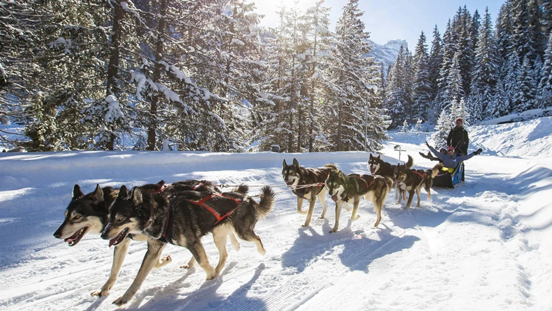 Winter Dogsledding Adventure by SO!