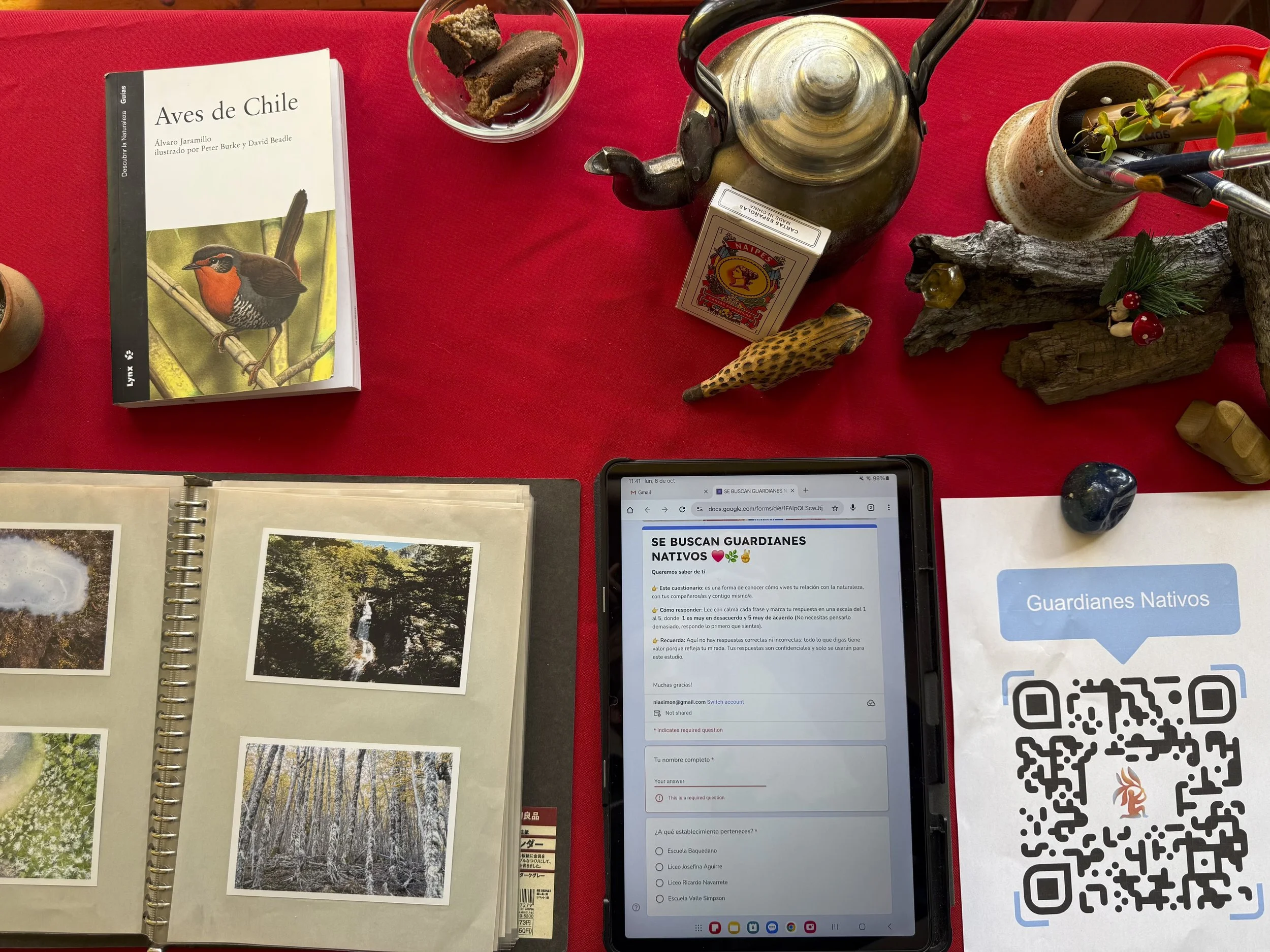 Fundación Nativos - 4.jpeg