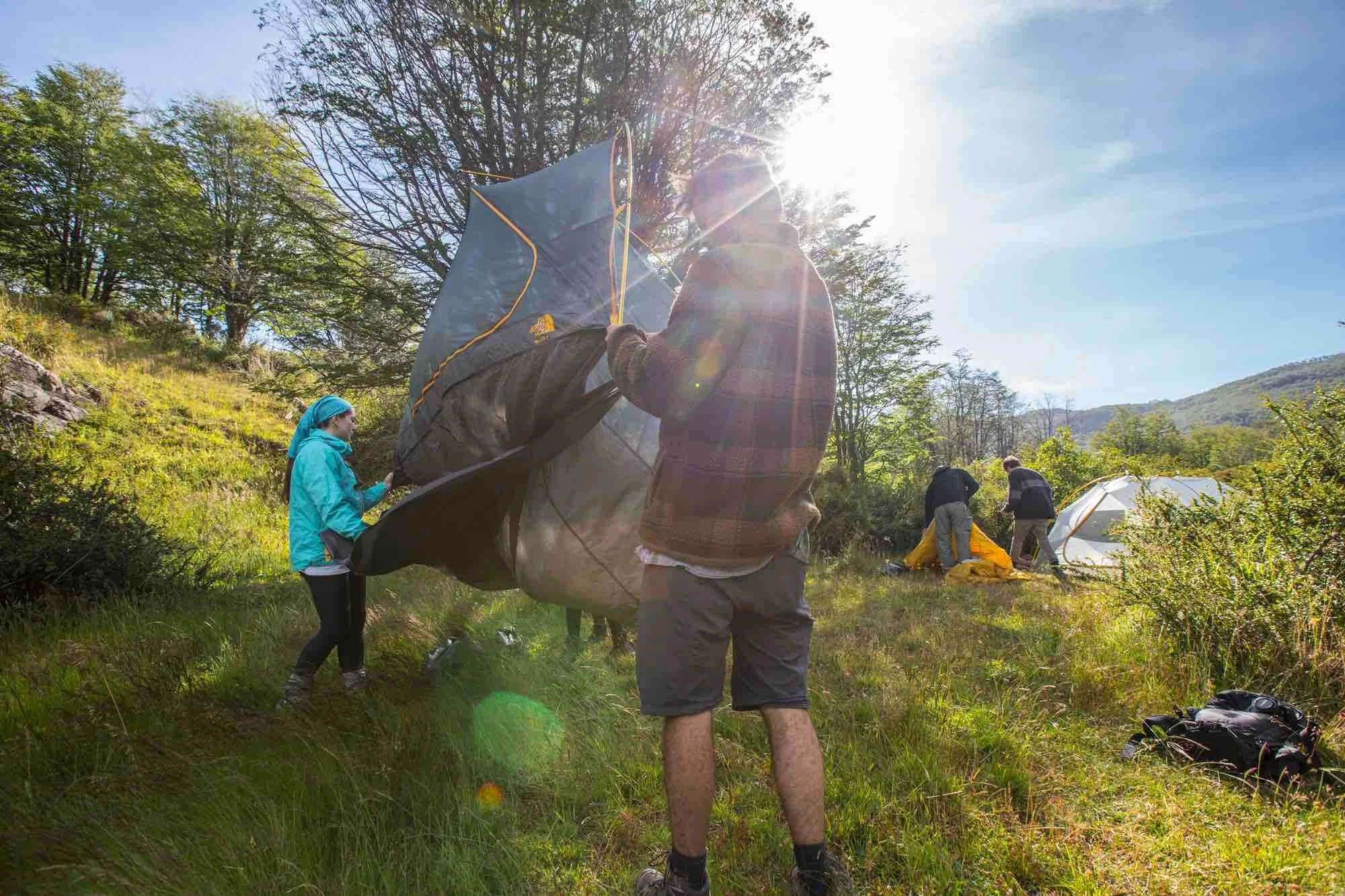 verano nativo 2018-19.jpeg
