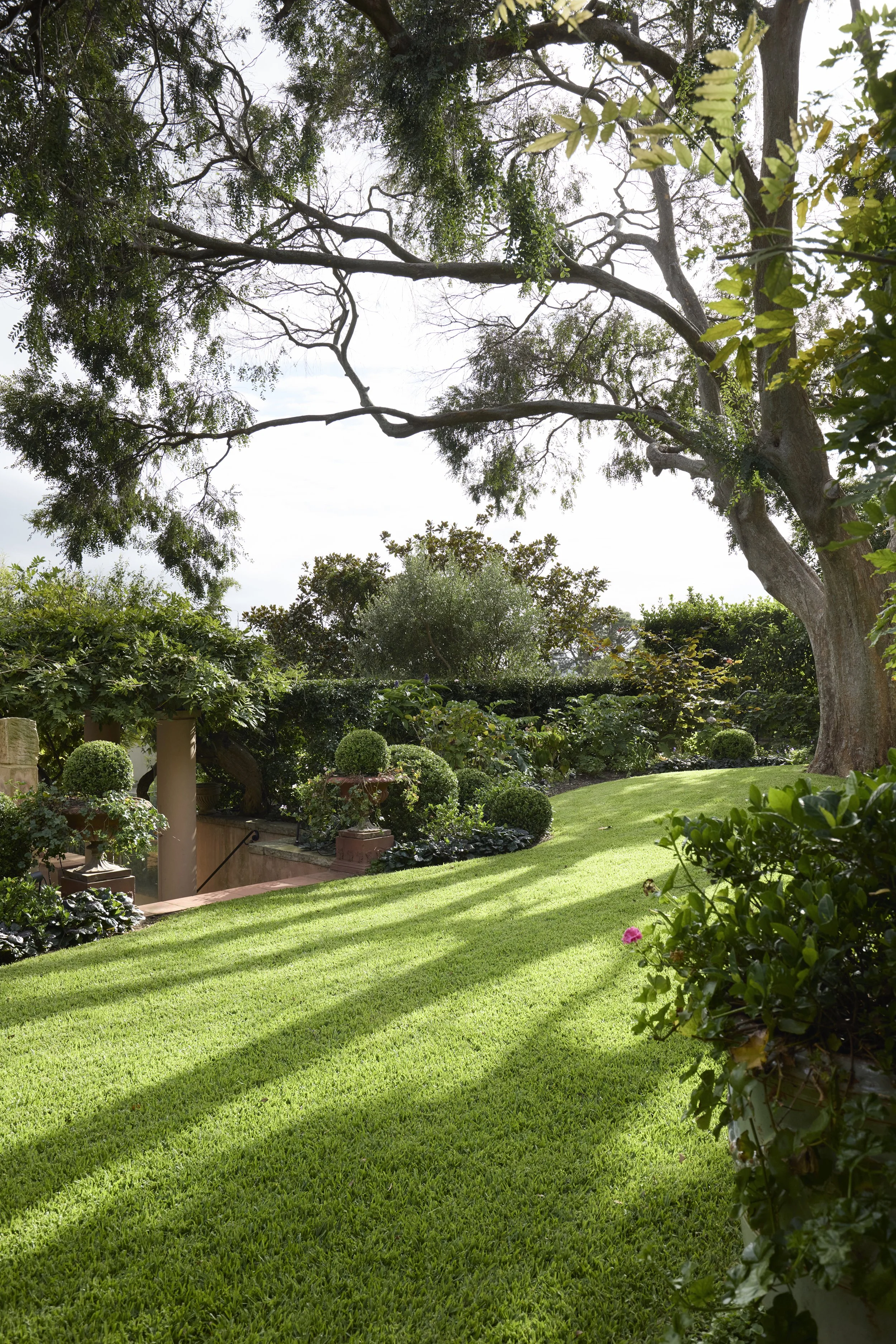 M.M.D-Ginaghulla 96 1.jpg