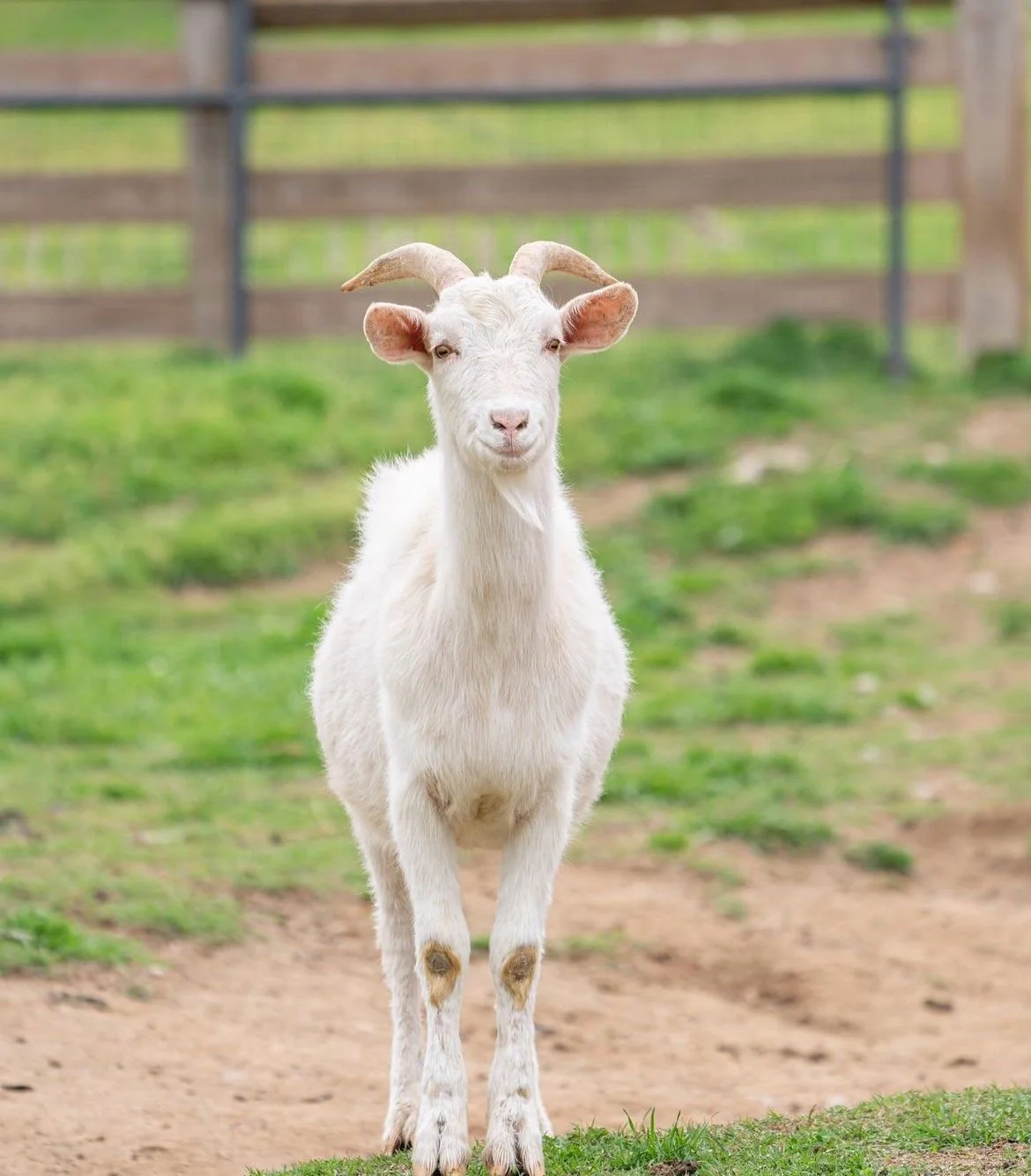 Screenshot 2023-07-17 at 11.23.56 PM.jpeg