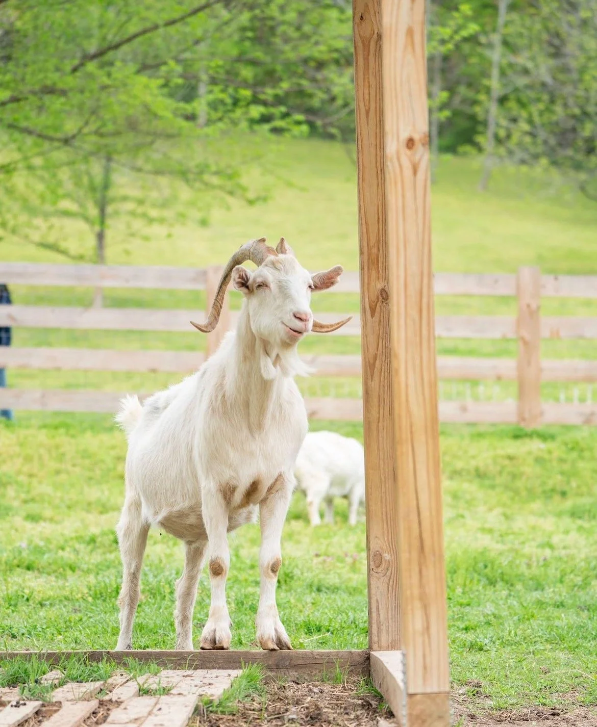 Screenshot 2023-07-17 at 11.23.05 PM.jpeg